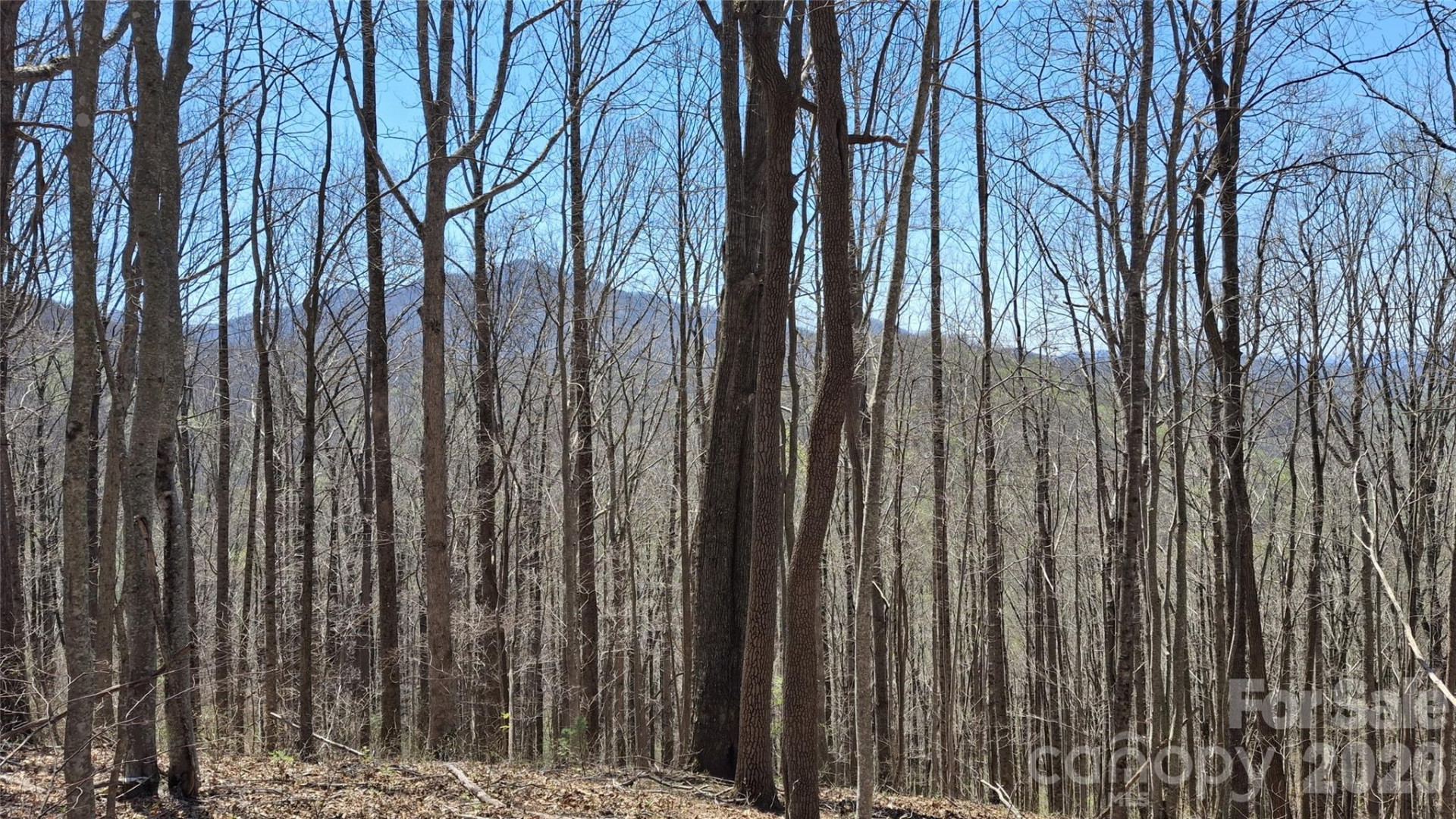 00 Maynor Drive - Photo 28