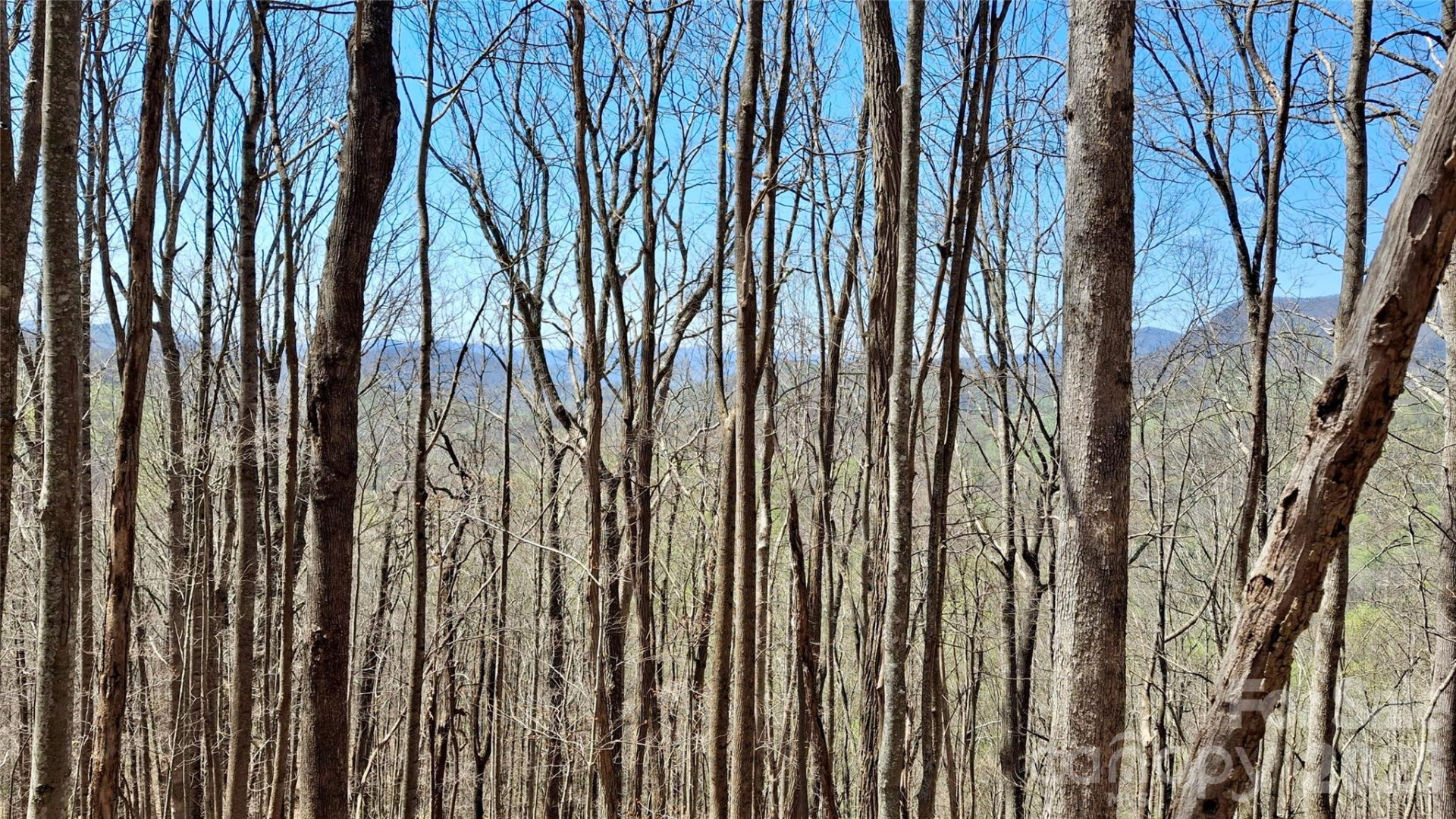 00 Maynor Drive - Photo 29