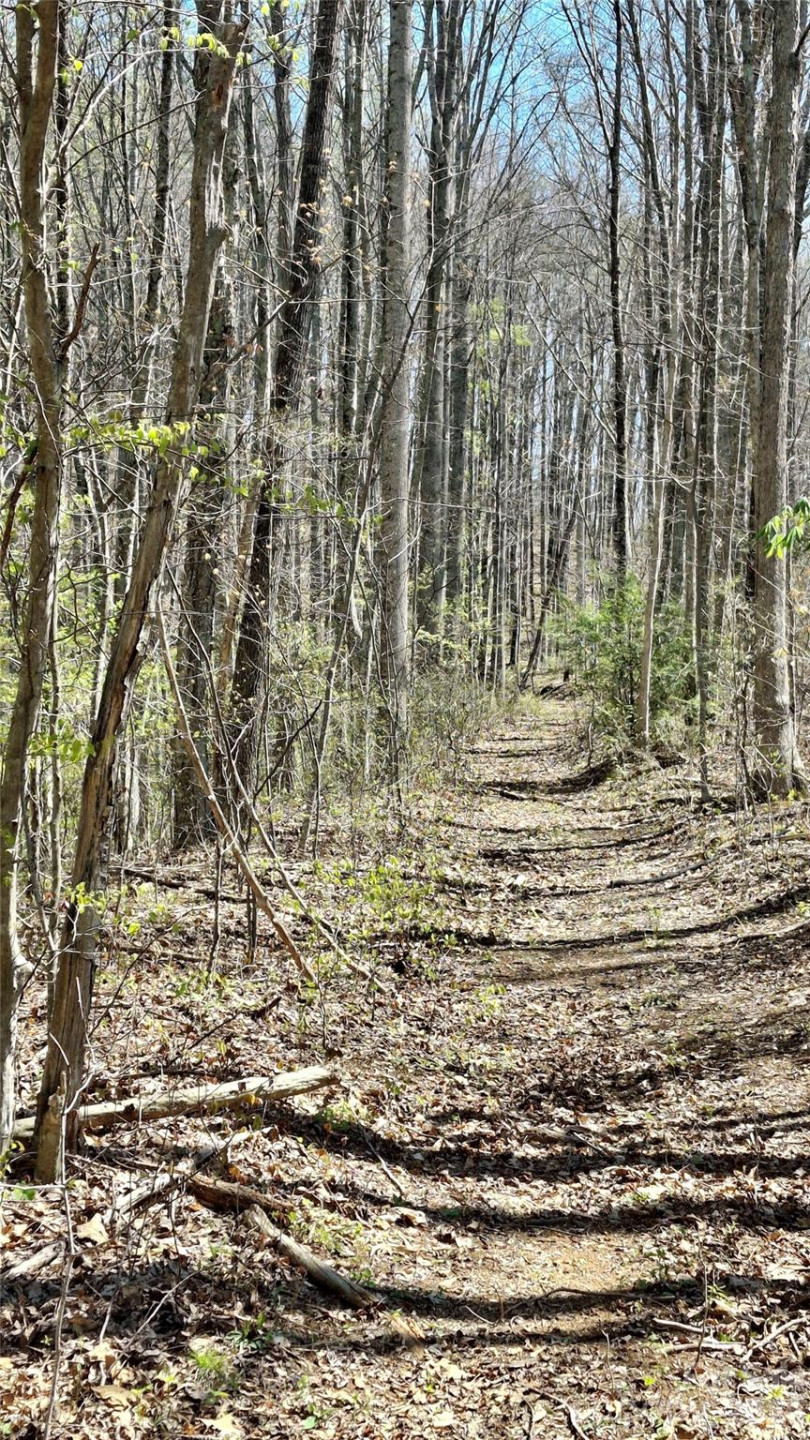 00 Maynor Drive - Photo 4