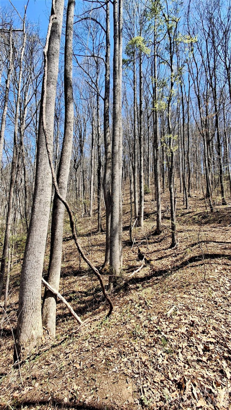 00 Maynor Drive - Photo 5