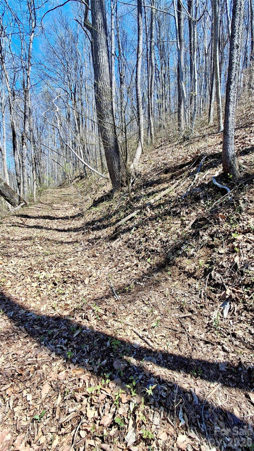 00 Maynor Drive - Photo 6