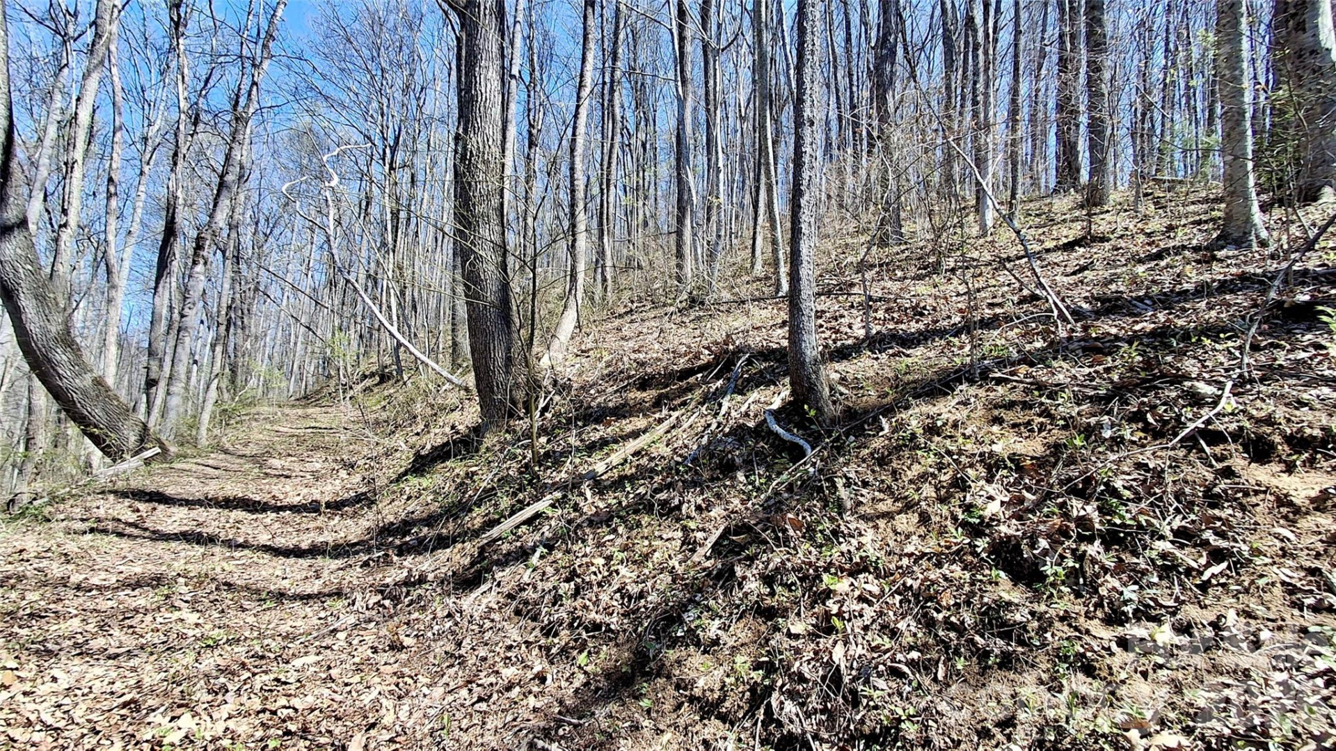 00 Maynor Drive - Photo 7