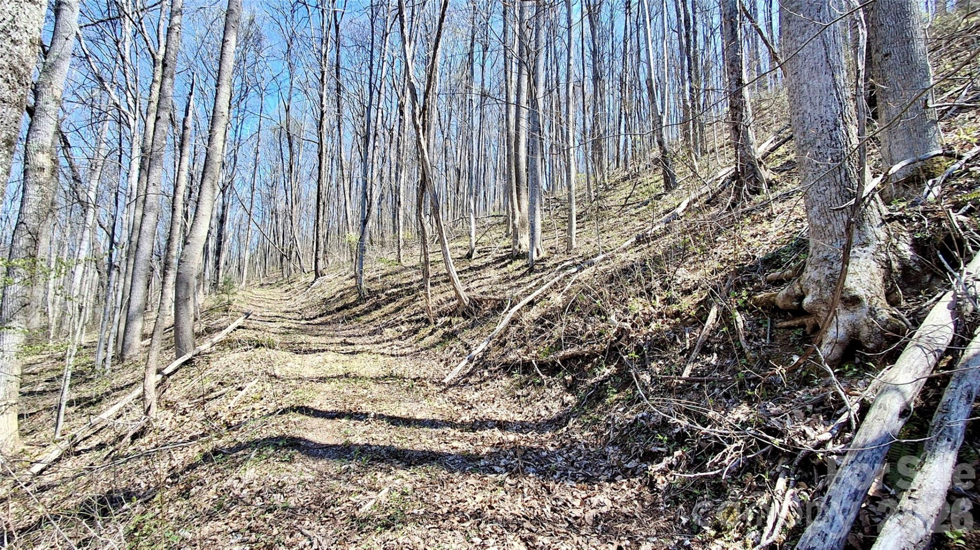 00 Maynor Drive - Photo 8