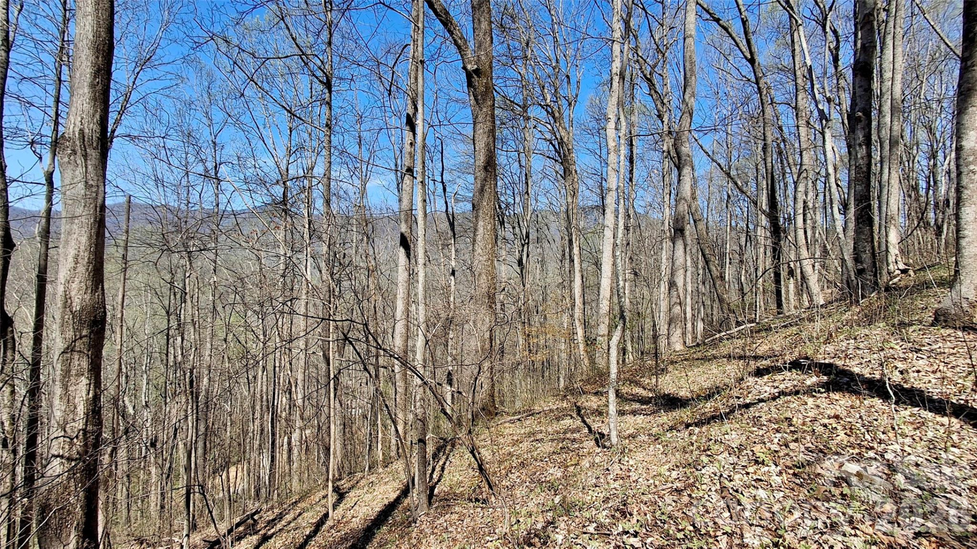 00 Maynor Drive - Photo 9