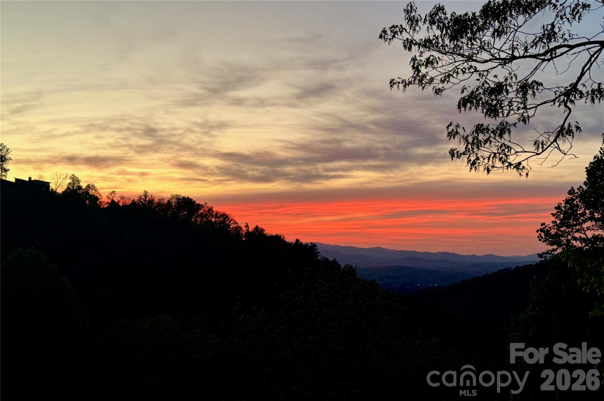 8 Timber Wolf Court - Photo 3