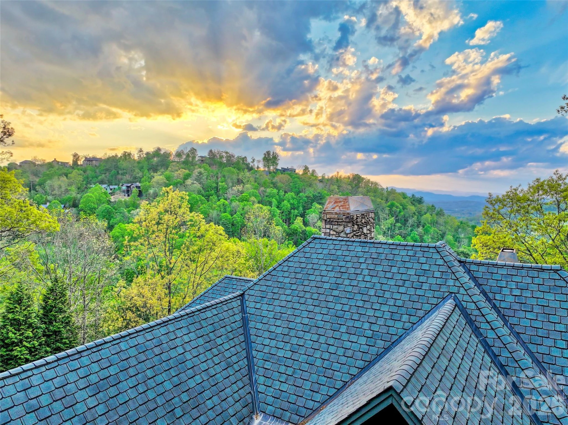 8 Timberwolf Court - Photo 45