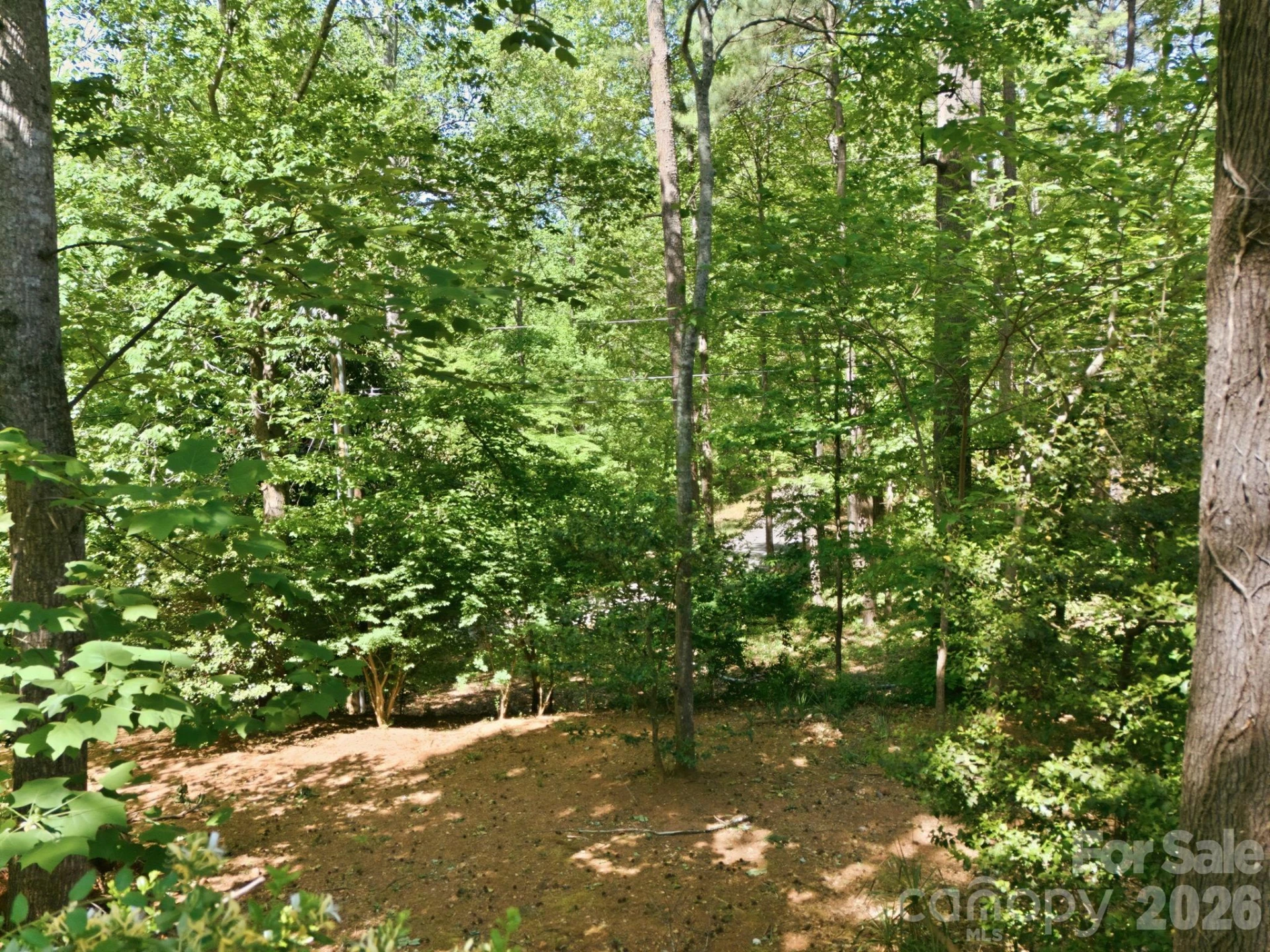 91 Diamond Ridge Lane - Photo 42