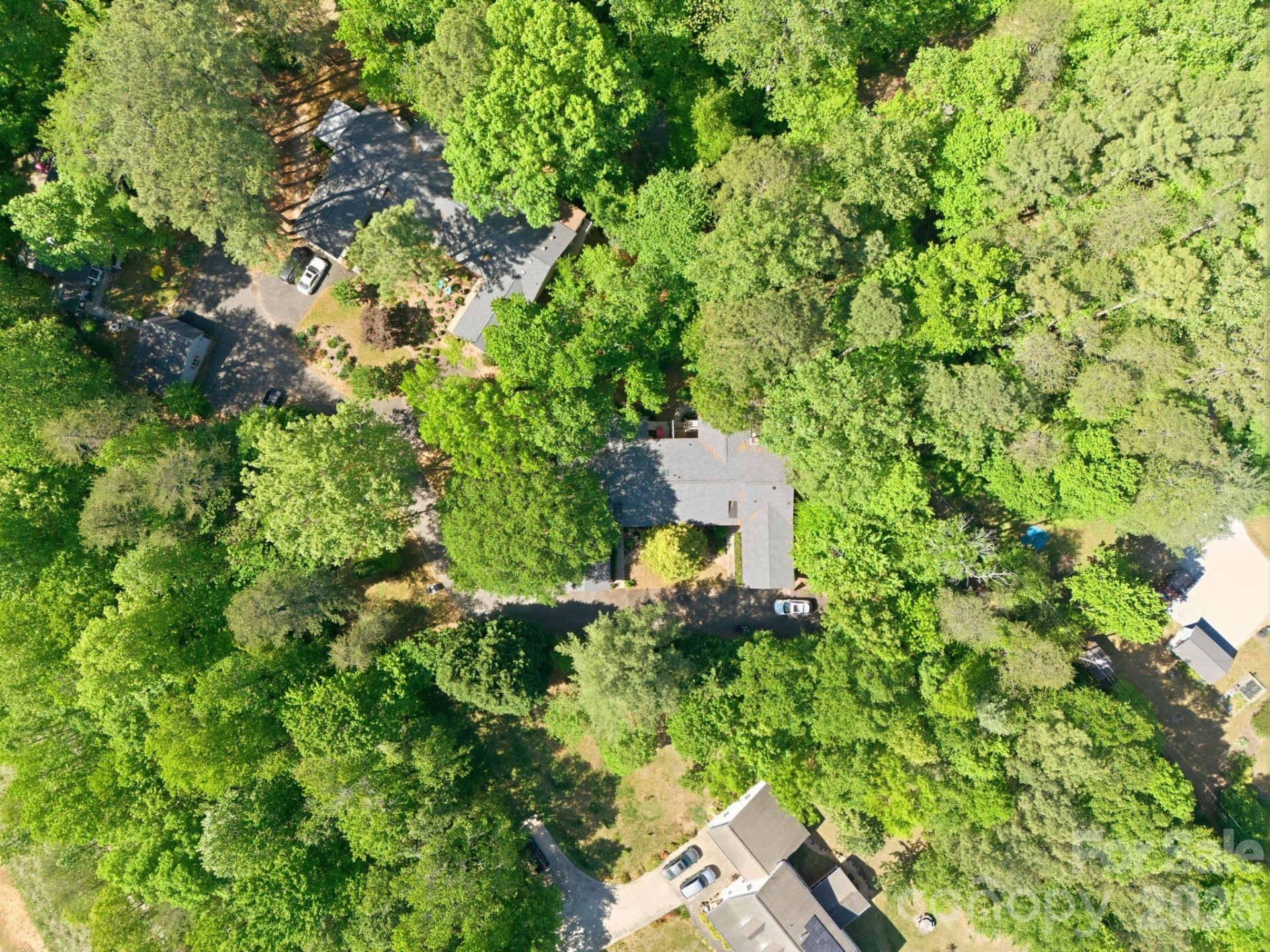 91 Diamond Ridge Lane - Photo 44