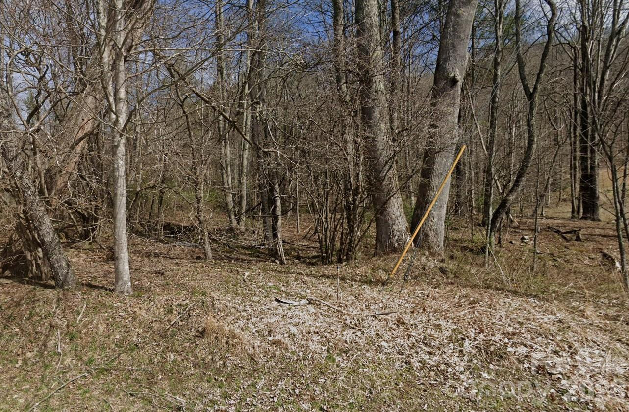 0 Flagstaff Drive - Photo 2