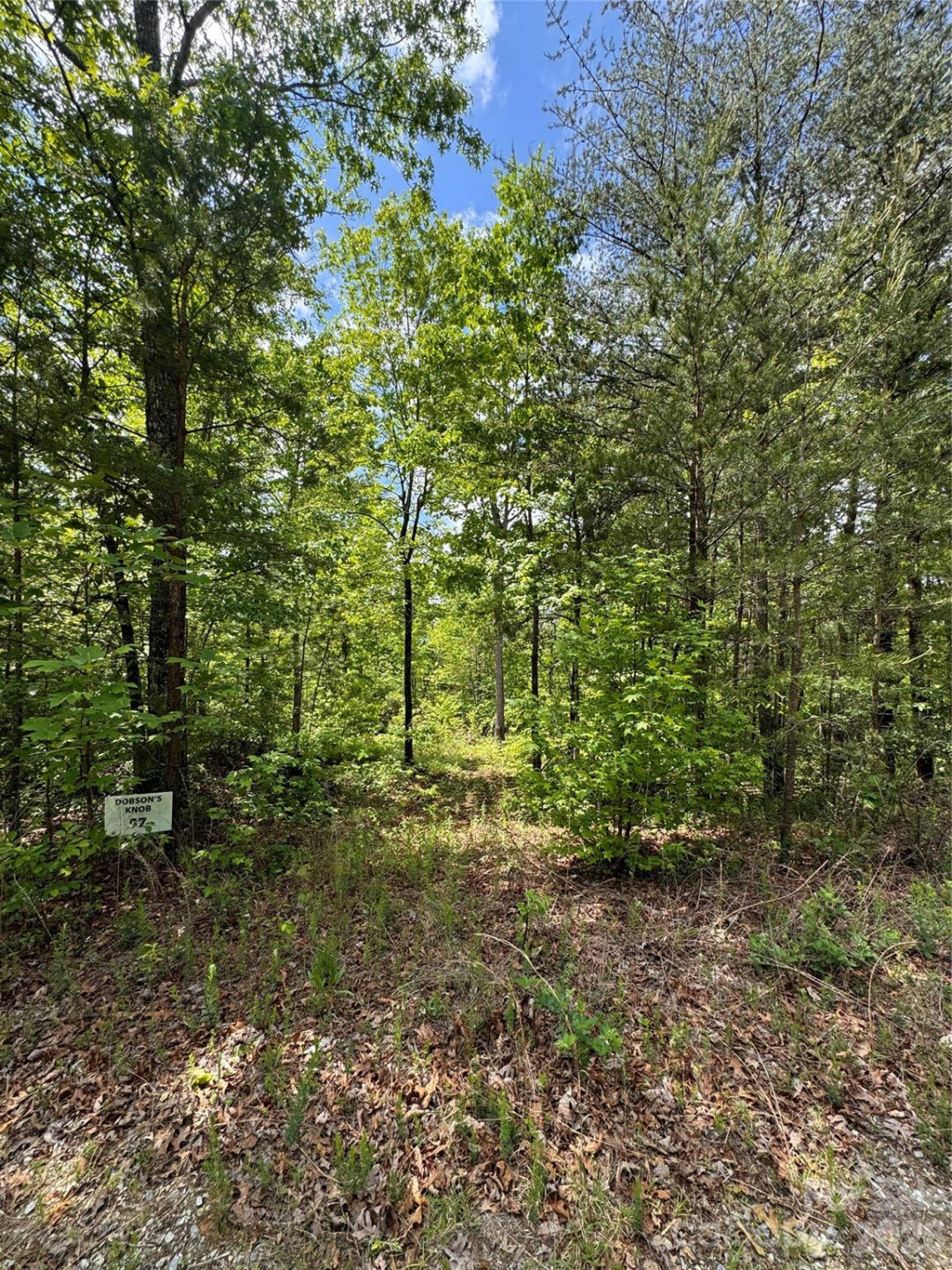 34 Montgomery Drive - Photo 2