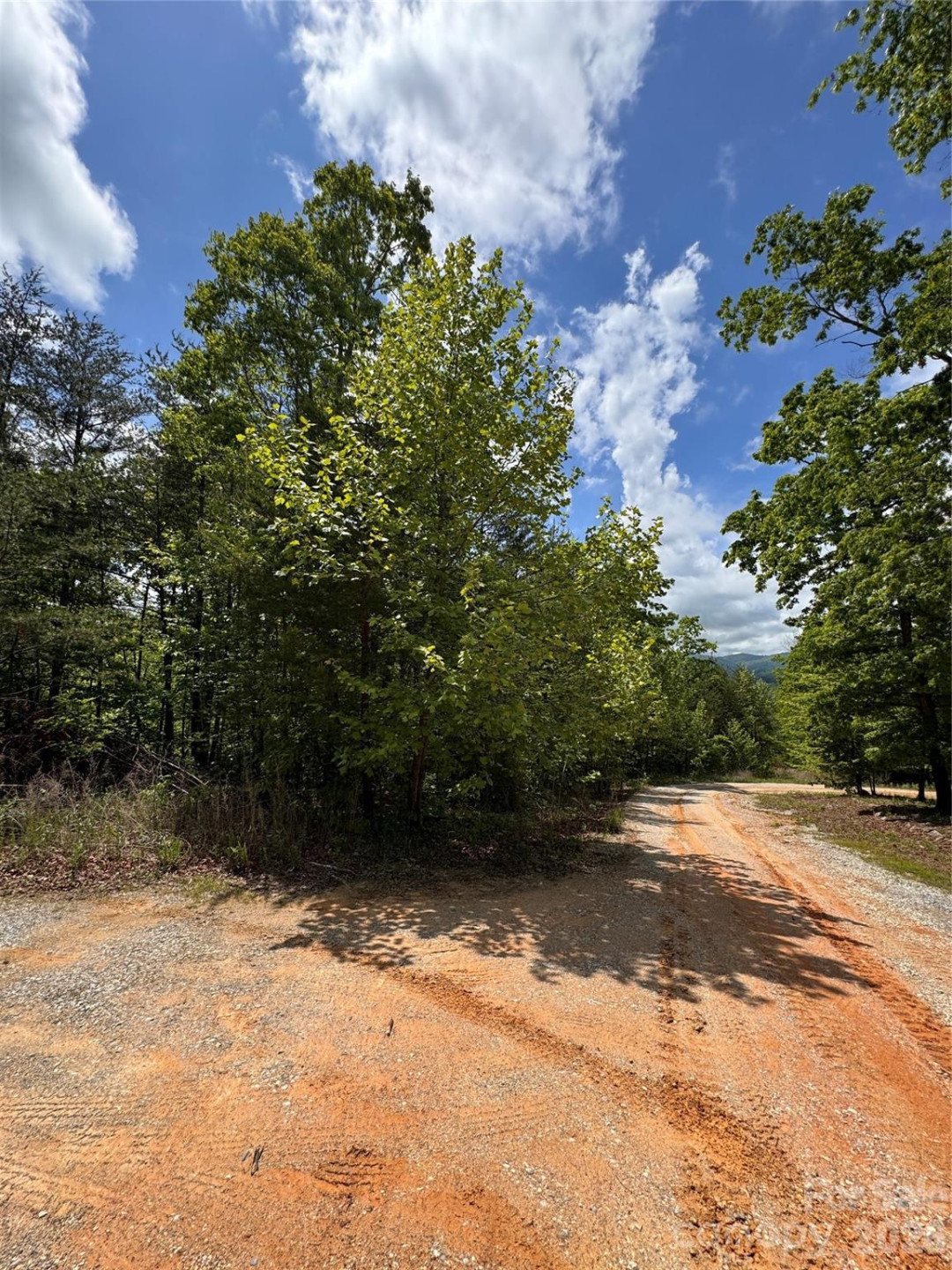 34 Montgomery Drive - Photo 3