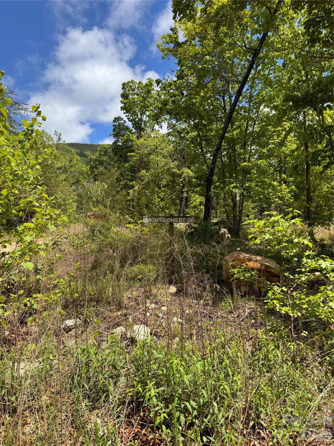 34 Montgomery Drive - Photo 4