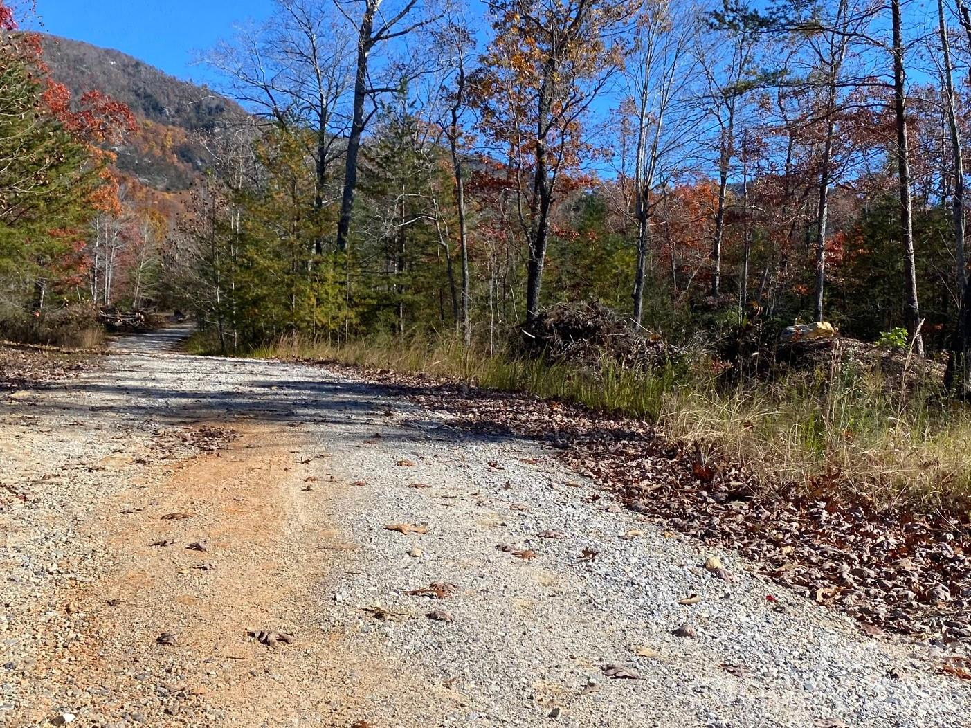 34 Montgomery Drive - Photo 5