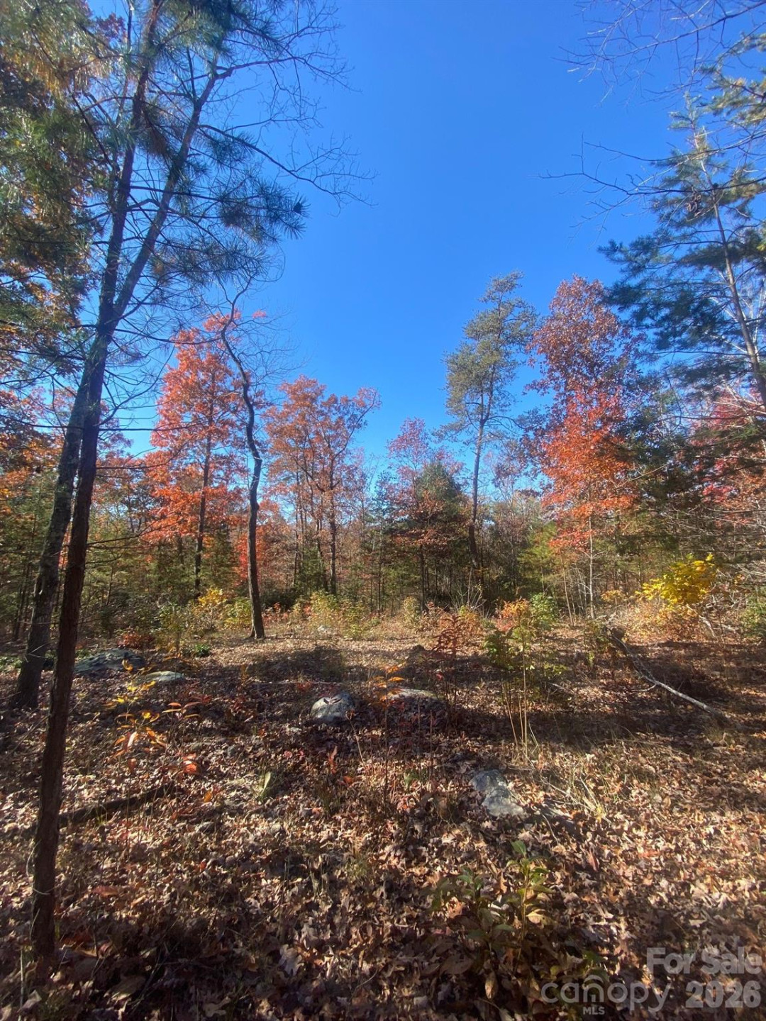 34 Montgomery Drive - Photo 6