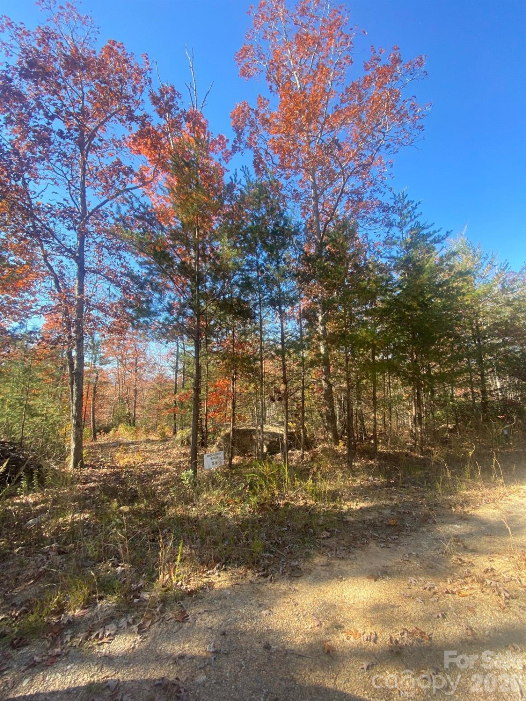 34 Montgomery Drive - Photo 7