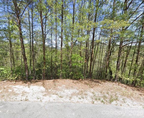 595 Quail Ridge Boulevard, Lake Lure, NC, 28746