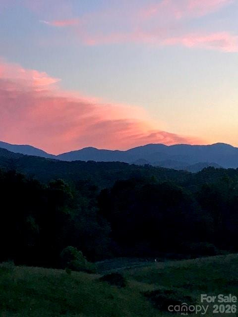 60 Dix Creek Chapel Road - Photo 40