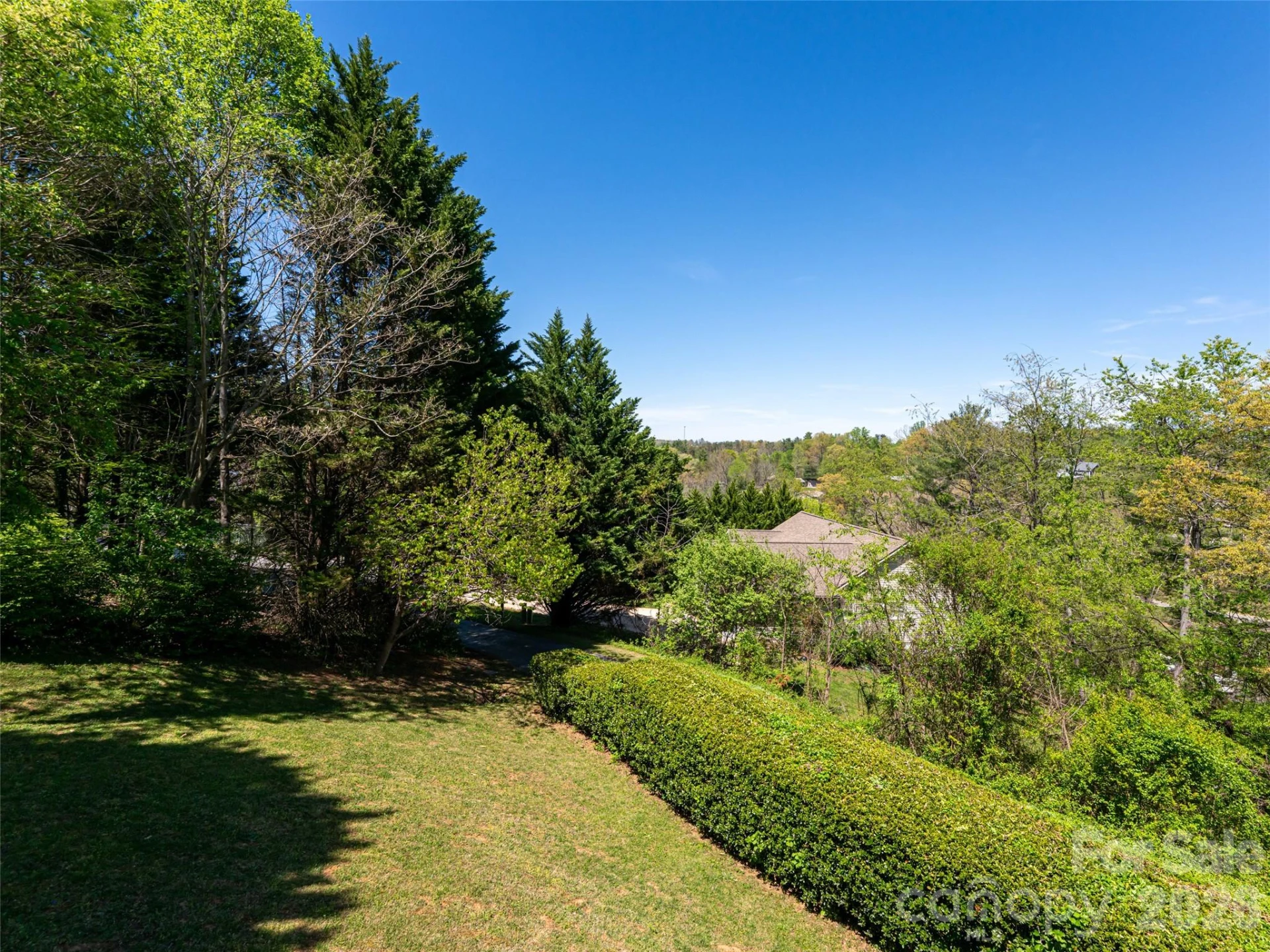15 Tiffany Lane - Photo 43