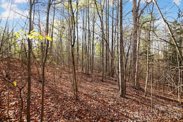 Lot 62 Dirksen Avenue, Nebo, NC, 28655