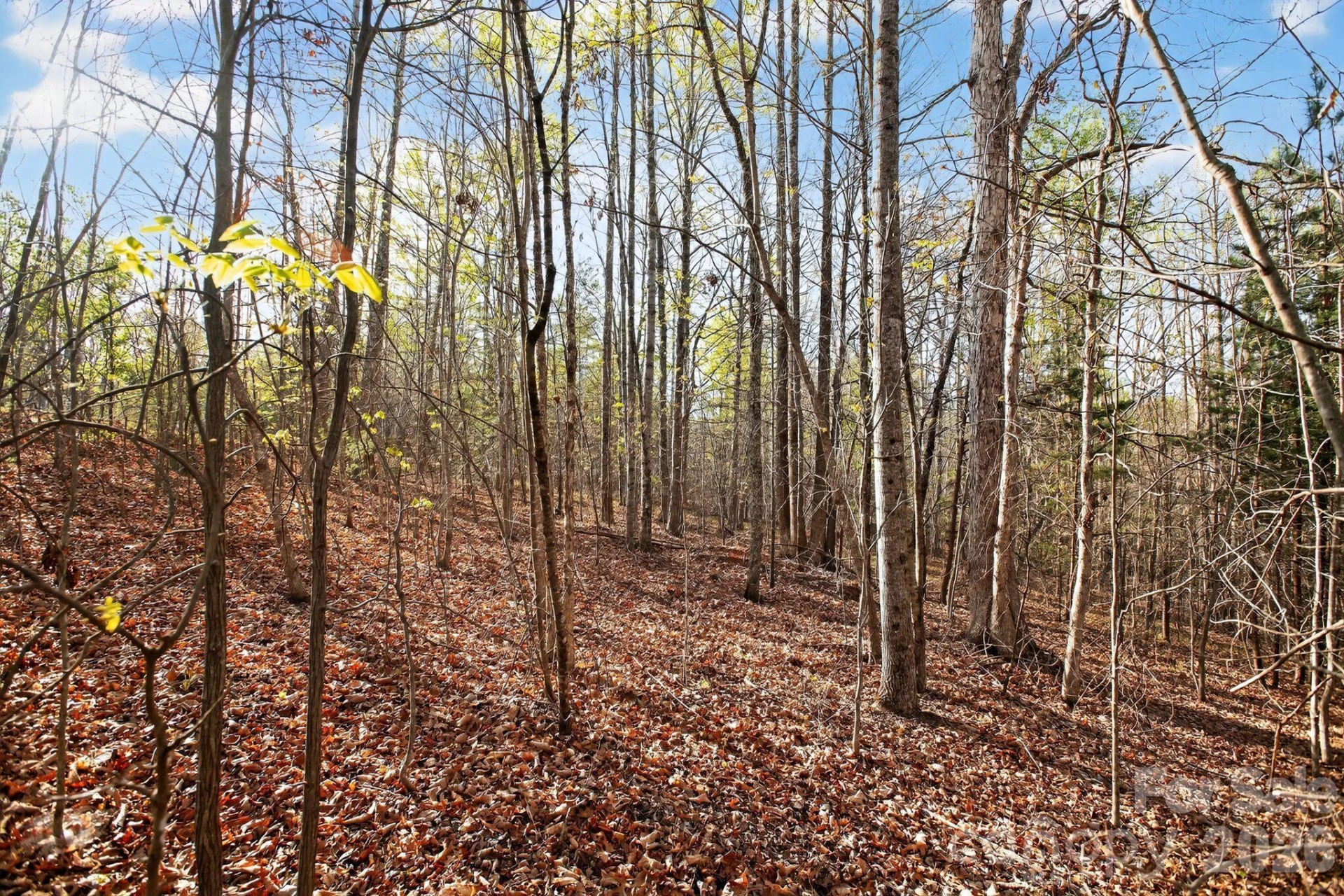 Lot 62 Dirksen Avenue