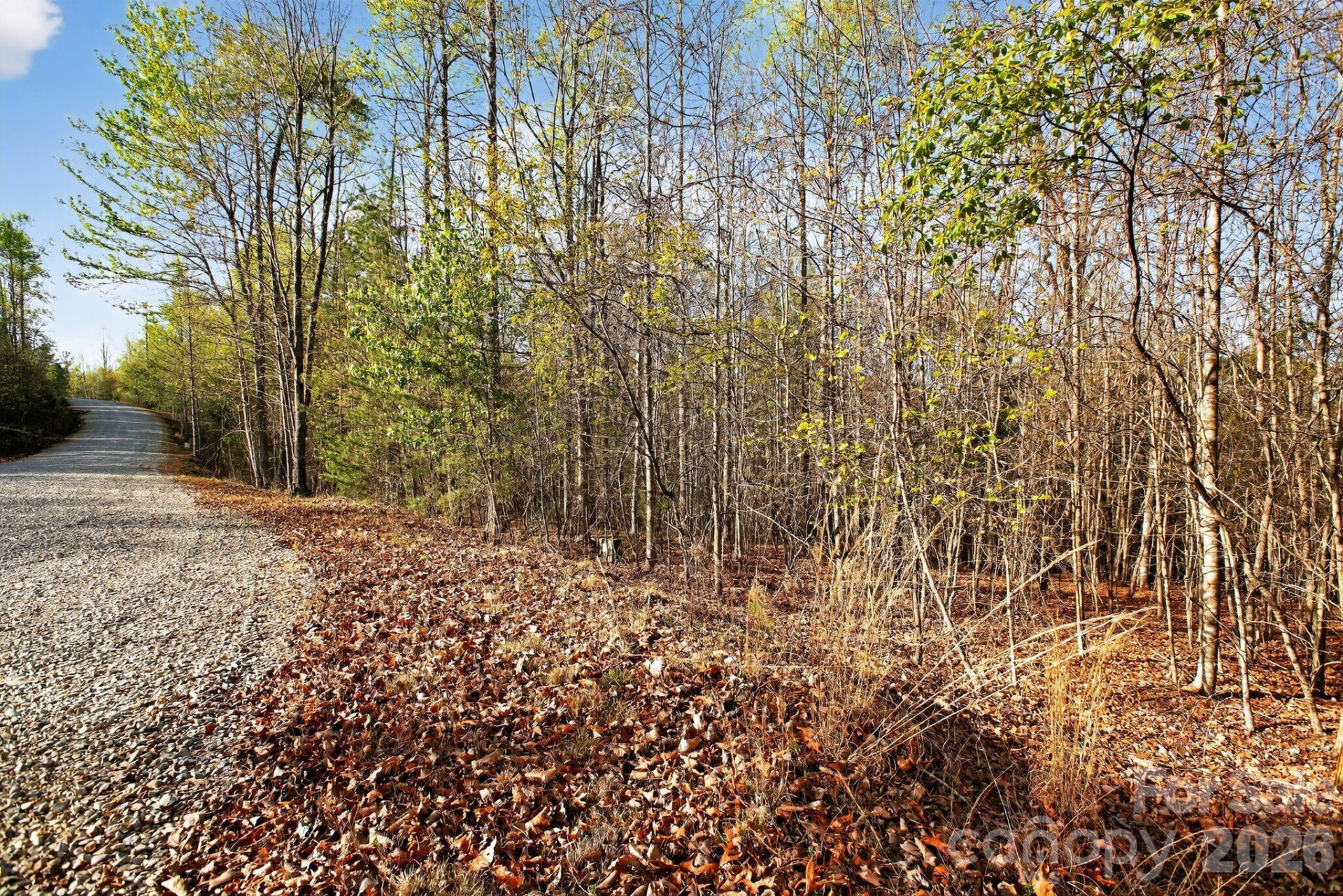 Lot 62 Dirksen Avenue - Photo 2