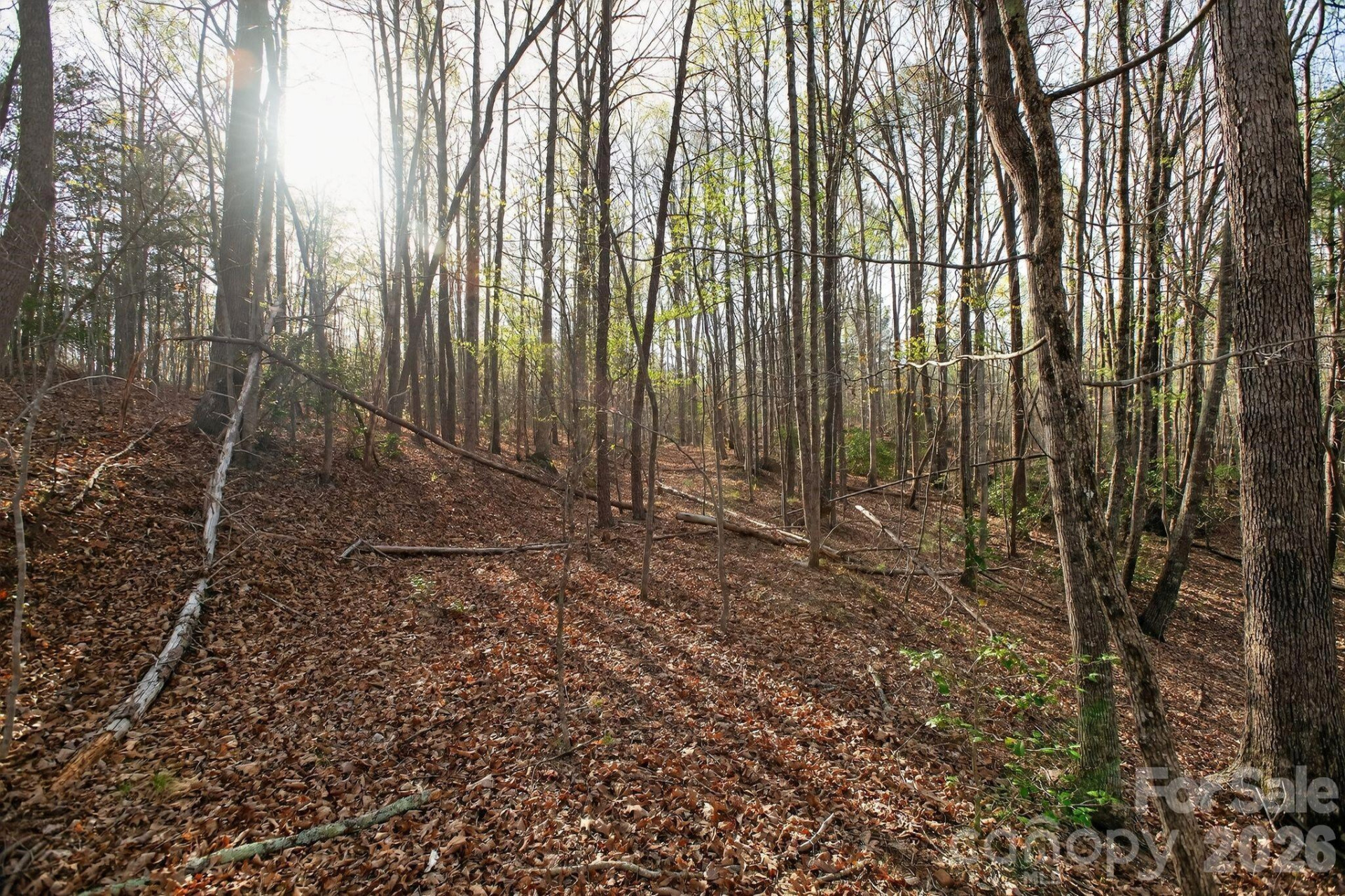 Lot 62 Dirksen Avenue - Photo 11