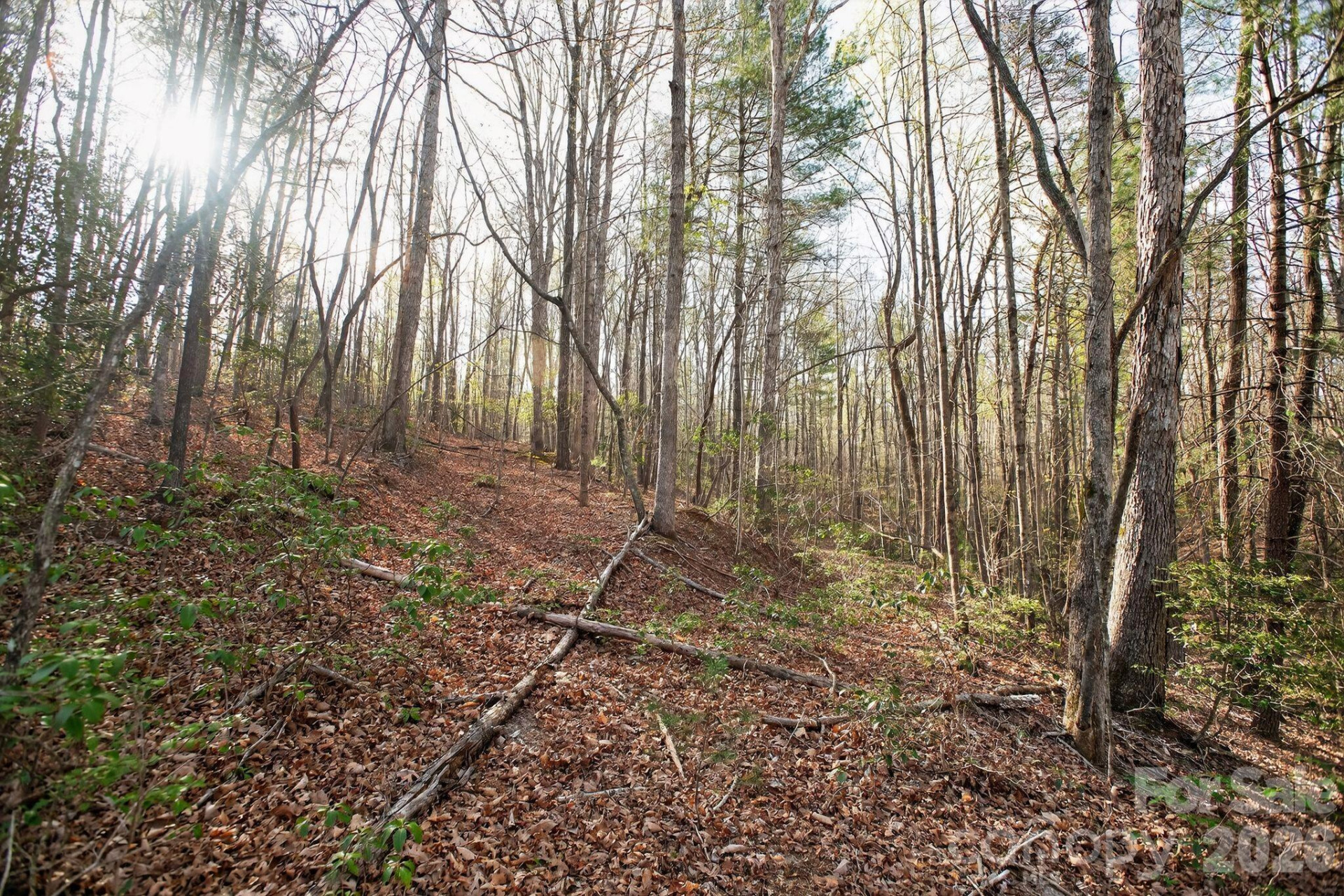 Lot 62 Dirksen Avenue - Photo 12