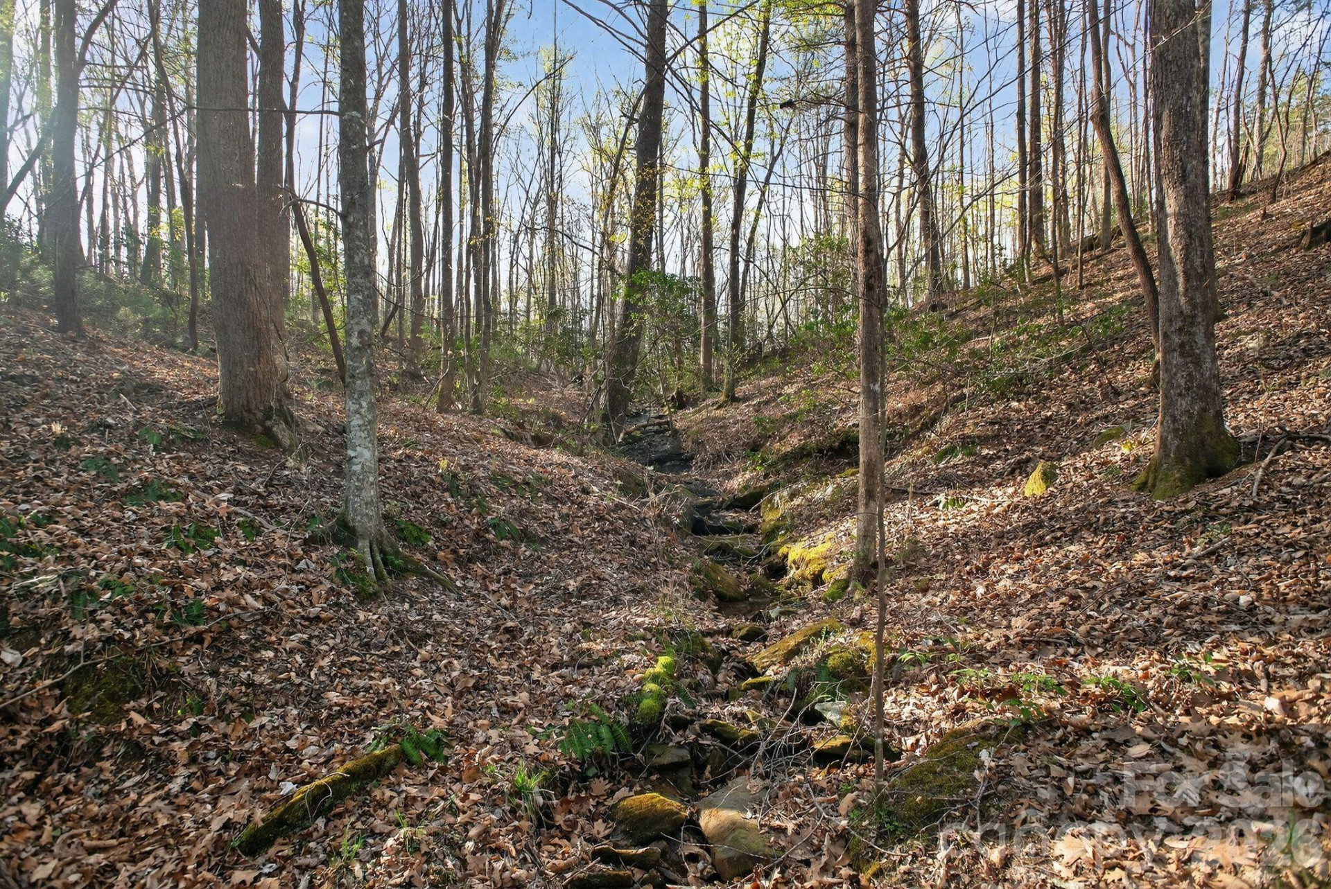 Lot 62 Dirksen Avenue - Photo 13