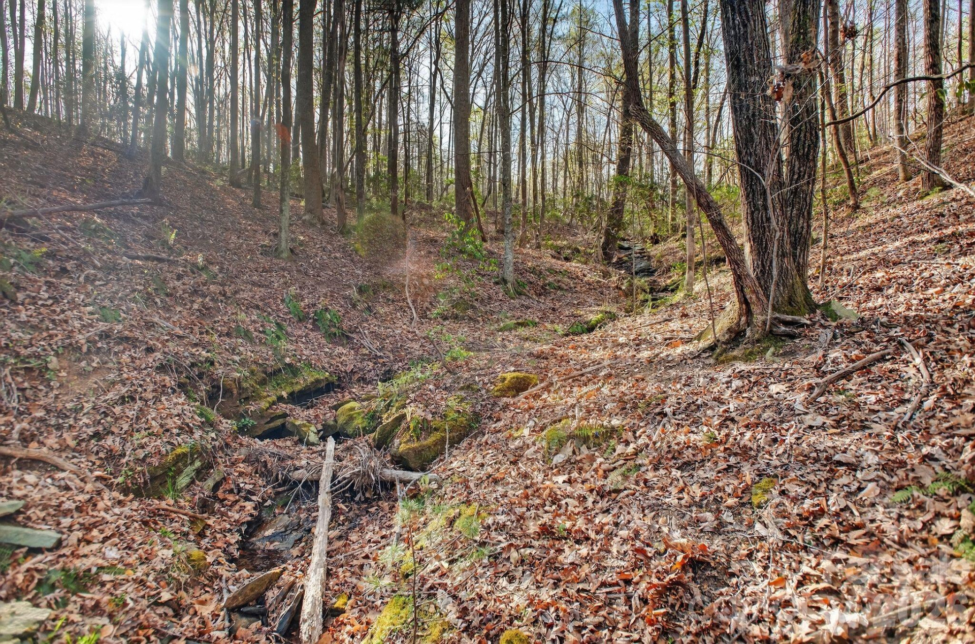 Lot 62 Dirksen Avenue - Photo 14