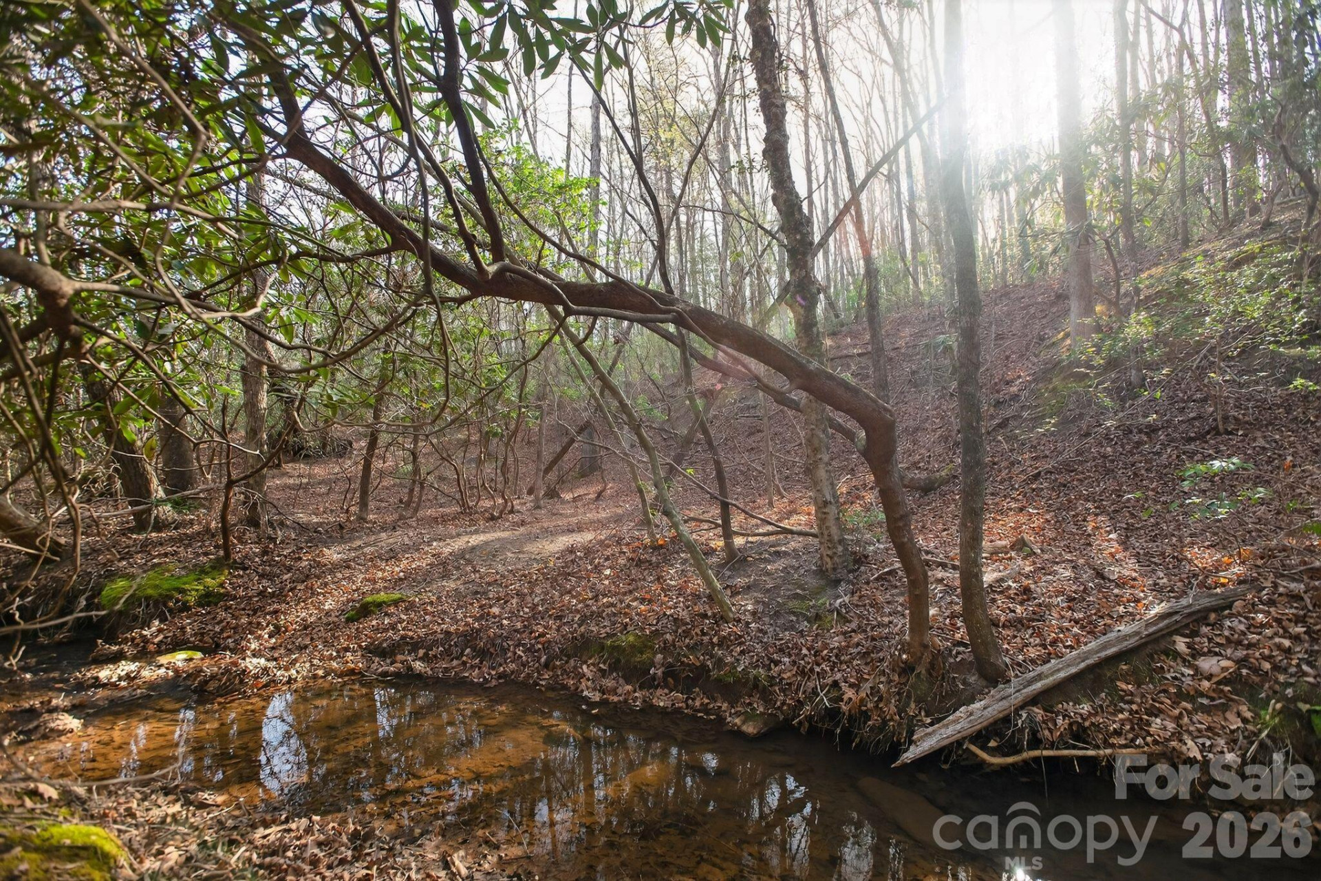 Lot 62 Dirksen Avenue - Photo 15