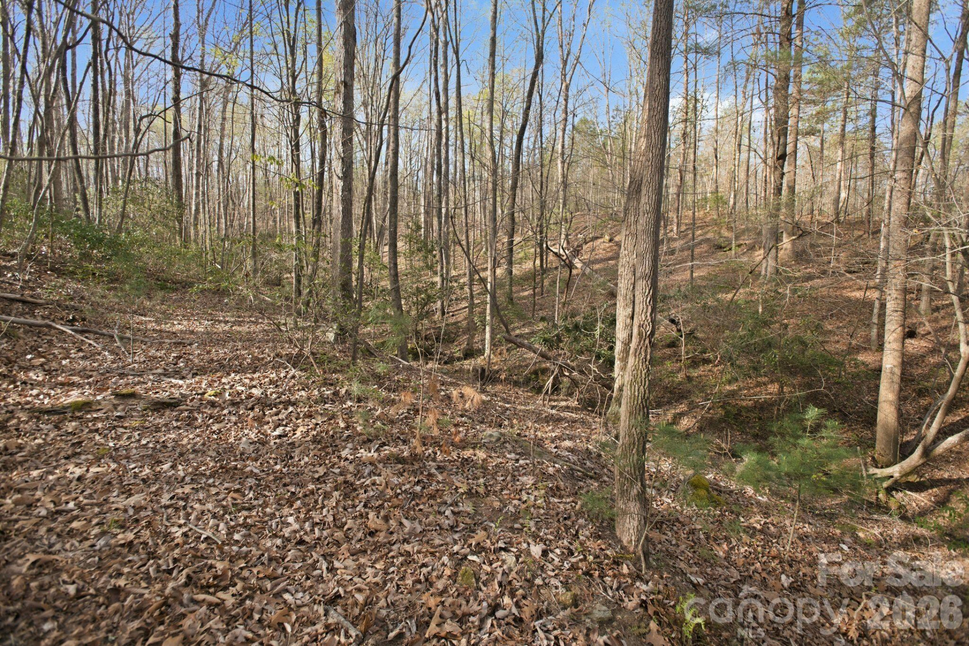 Lot 62 Dirksen Avenue - Photo 16