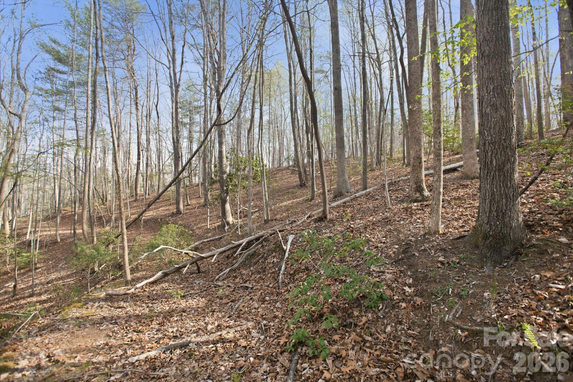 Lot 62 Dirksen Avenue - Photo 17