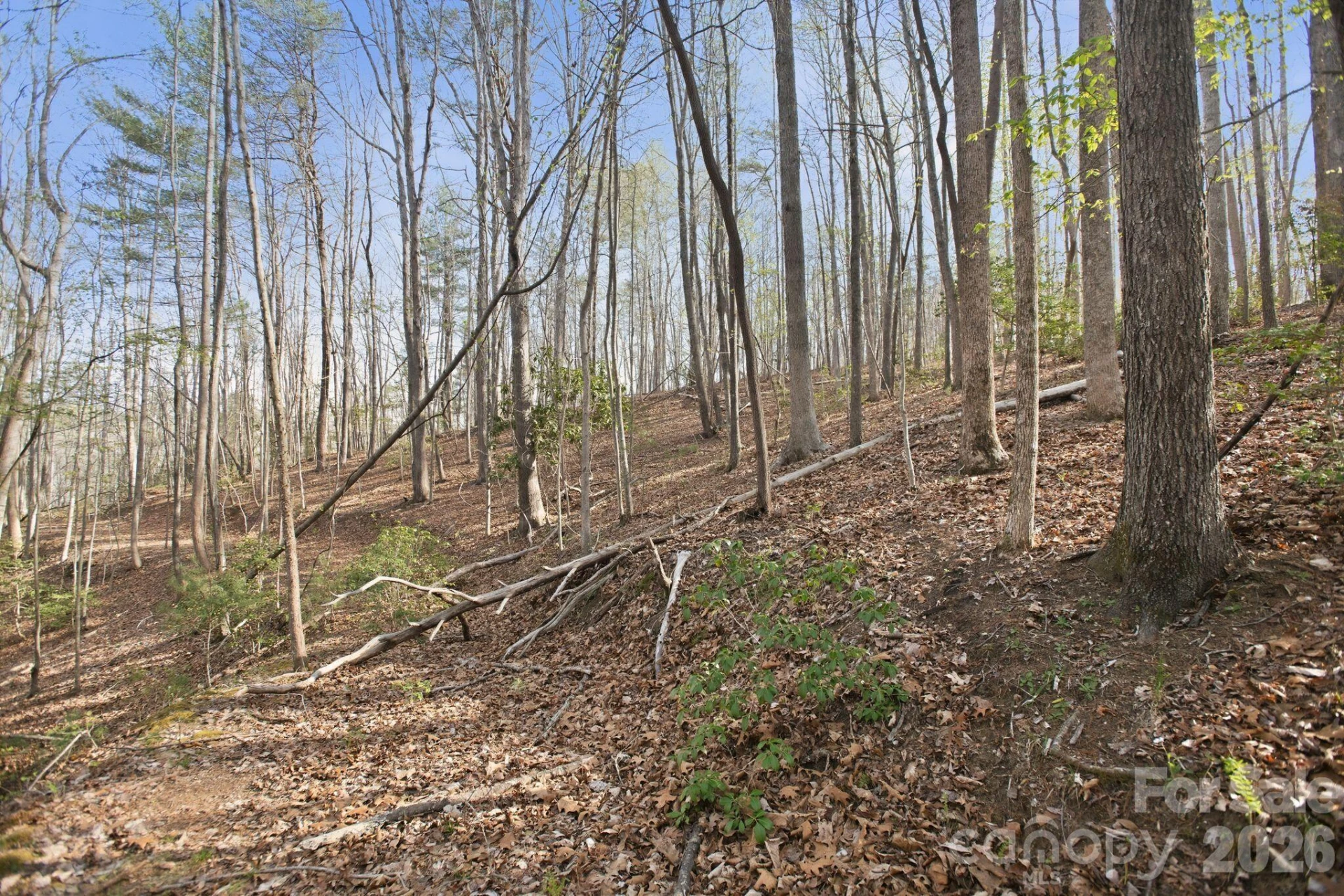Lot 62 Dirksen Avenue - Photo 17