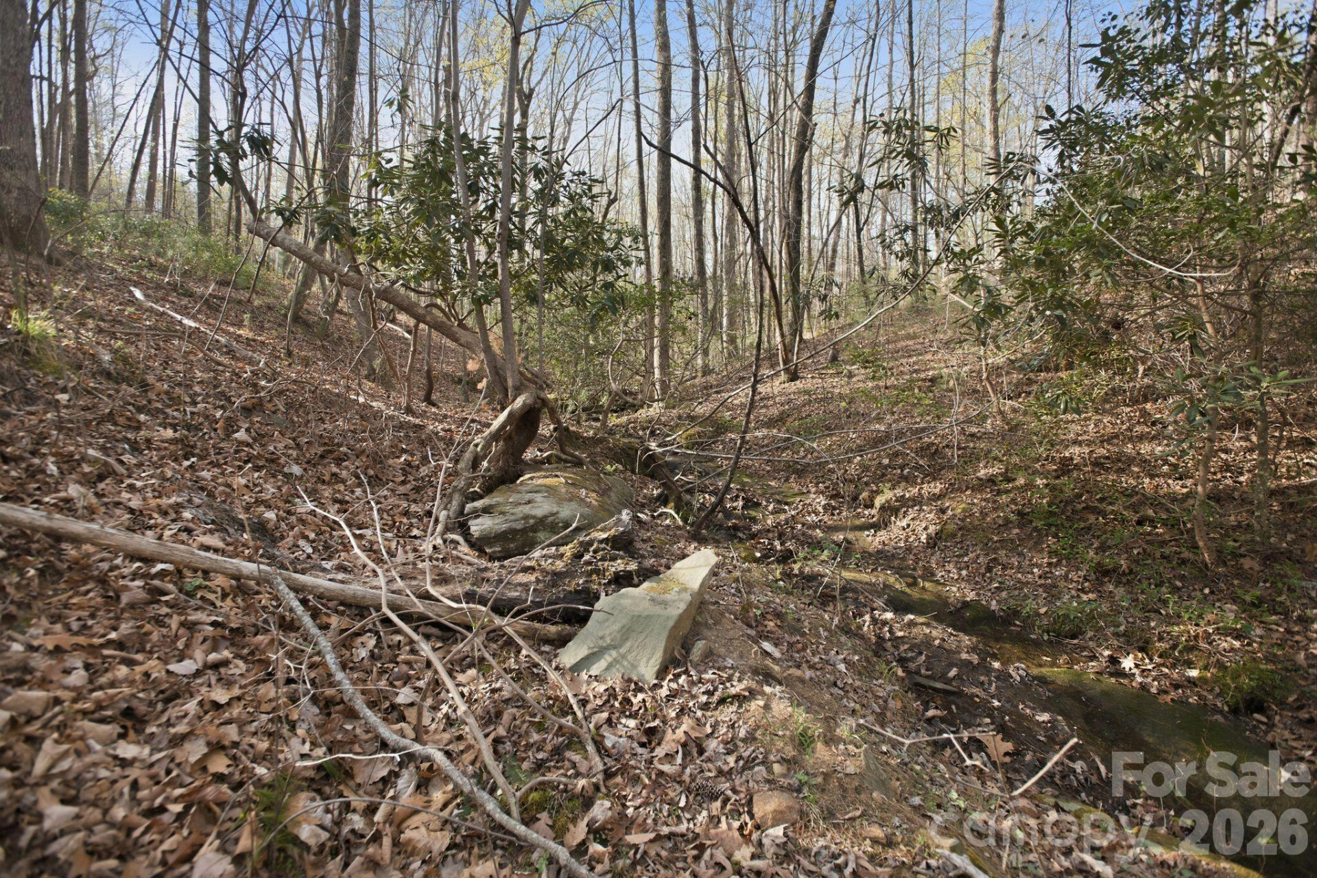 Lot 62 Dirksen Avenue - Photo 18