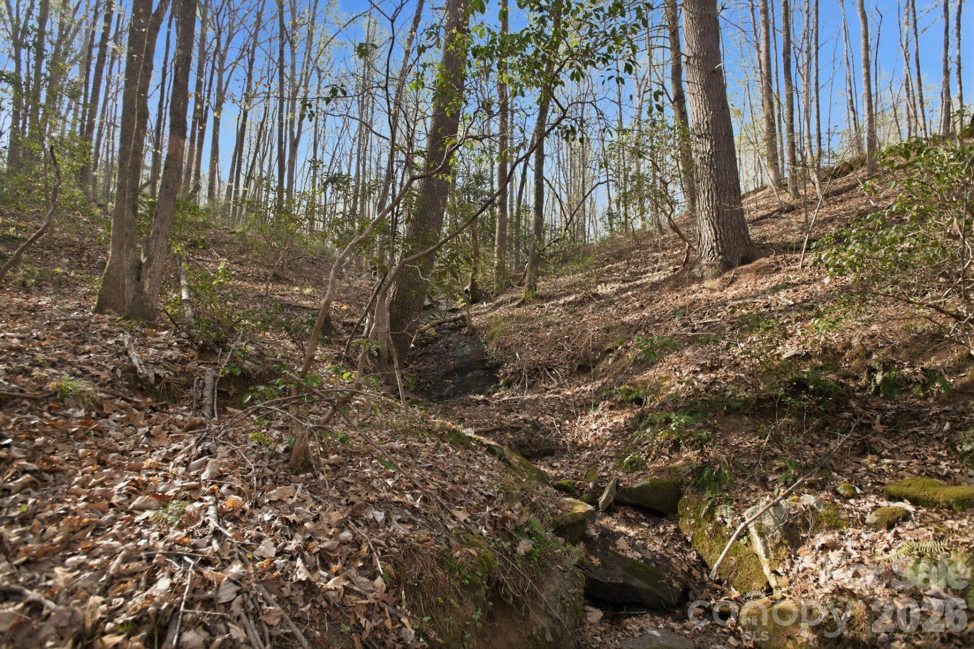 Lot 62 Dirksen Avenue - Photo 19