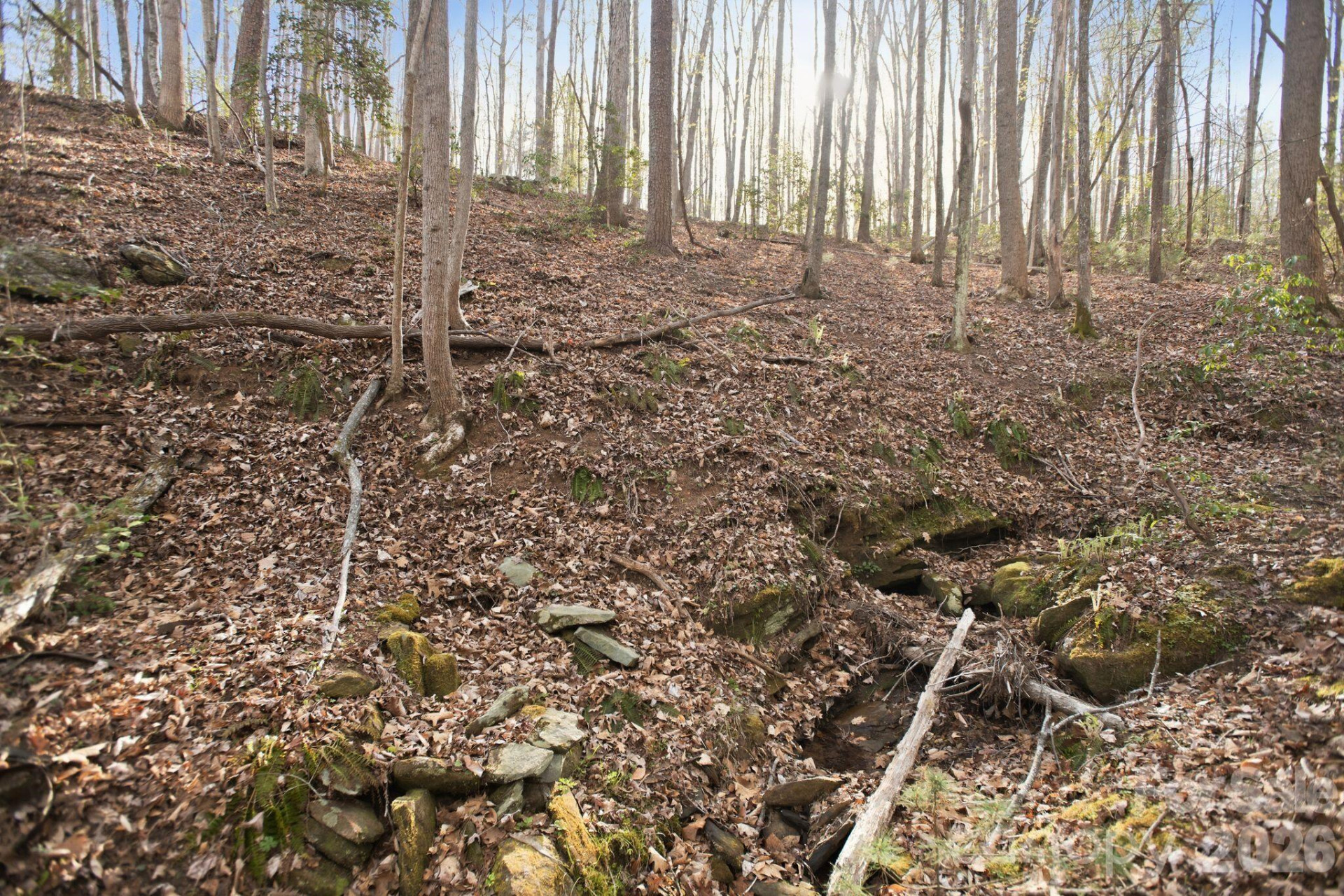 Lot 62 Dirksen Avenue - Photo 20