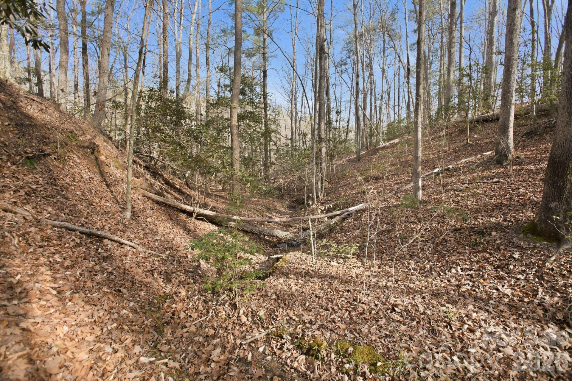 Lot 62 Dirksen Avenue - Photo 21