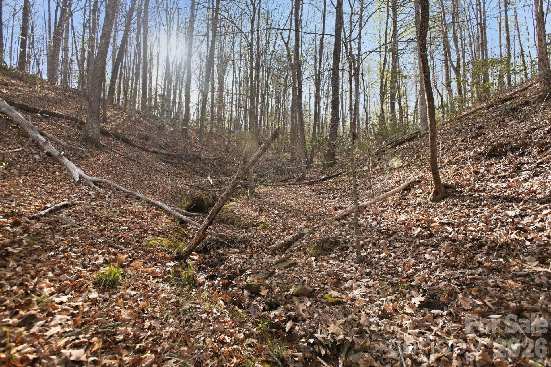 Lot 62 Dirksen Avenue - Photo 22