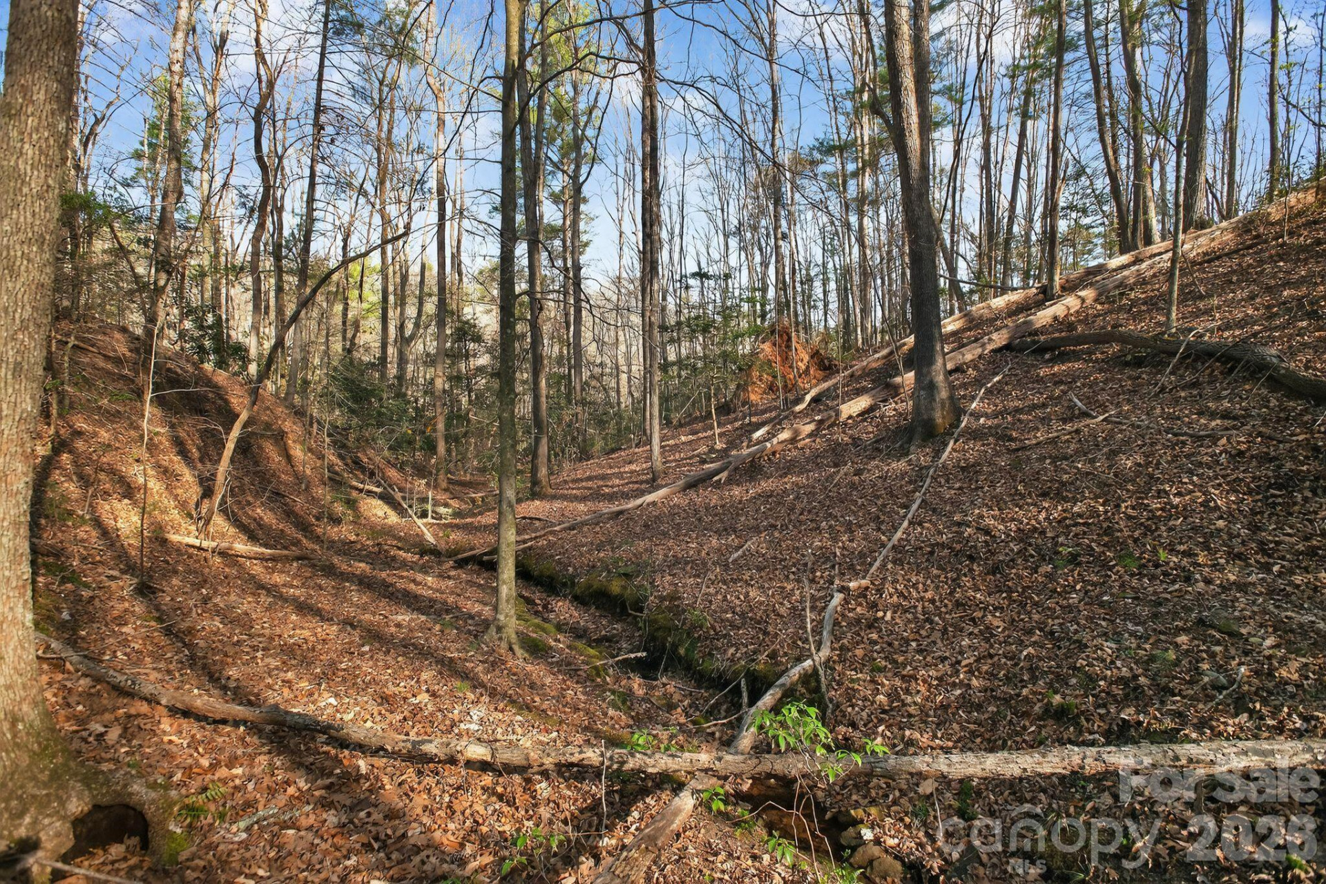 Lot 62 Dirksen Avenue - Photo 23