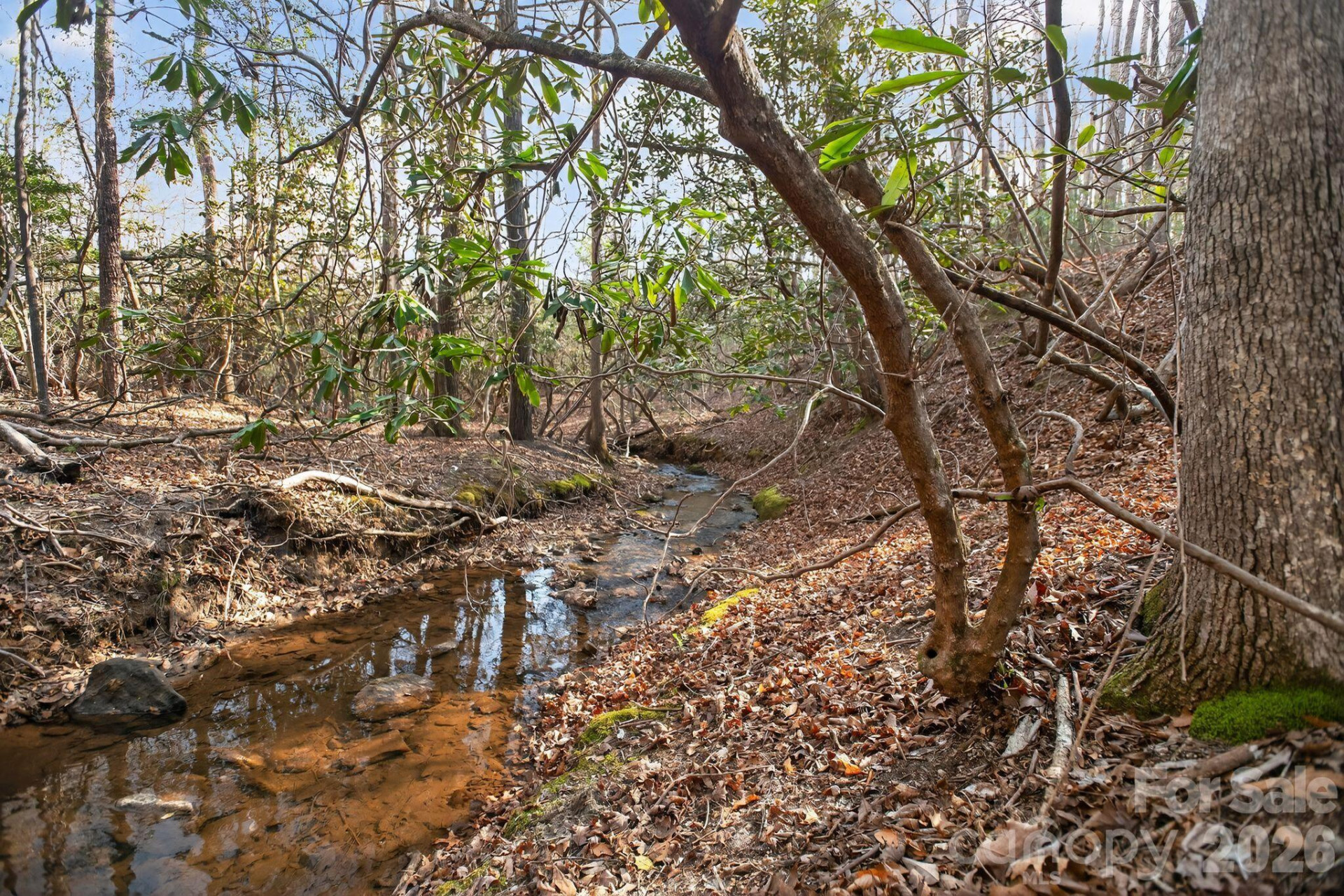 Lot 62 Dirksen Avenue - Photo 24