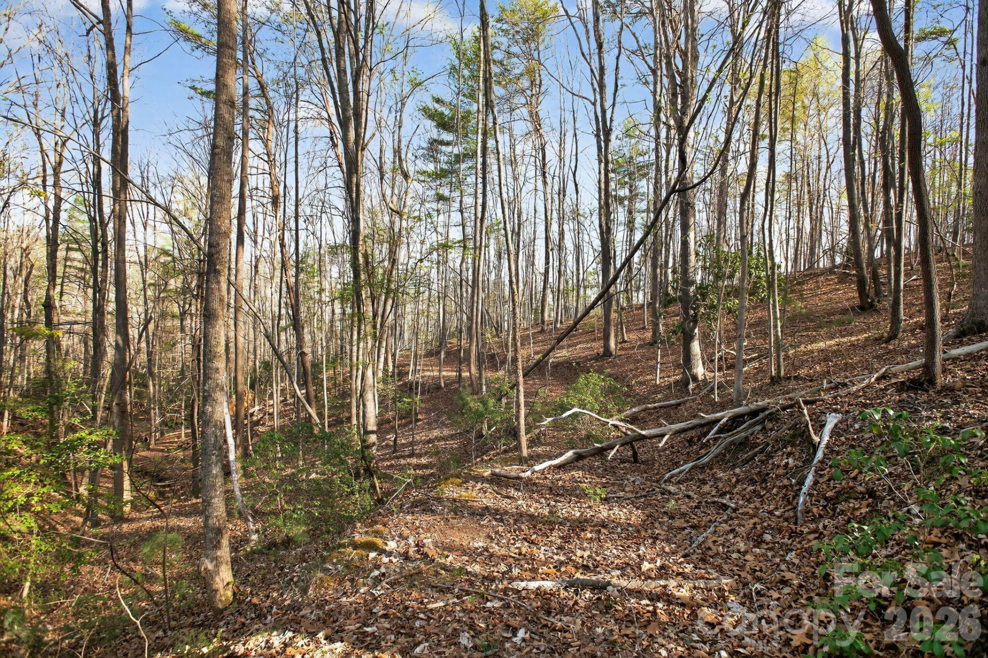 Lot 62 Dirksen Avenue - Photo 25