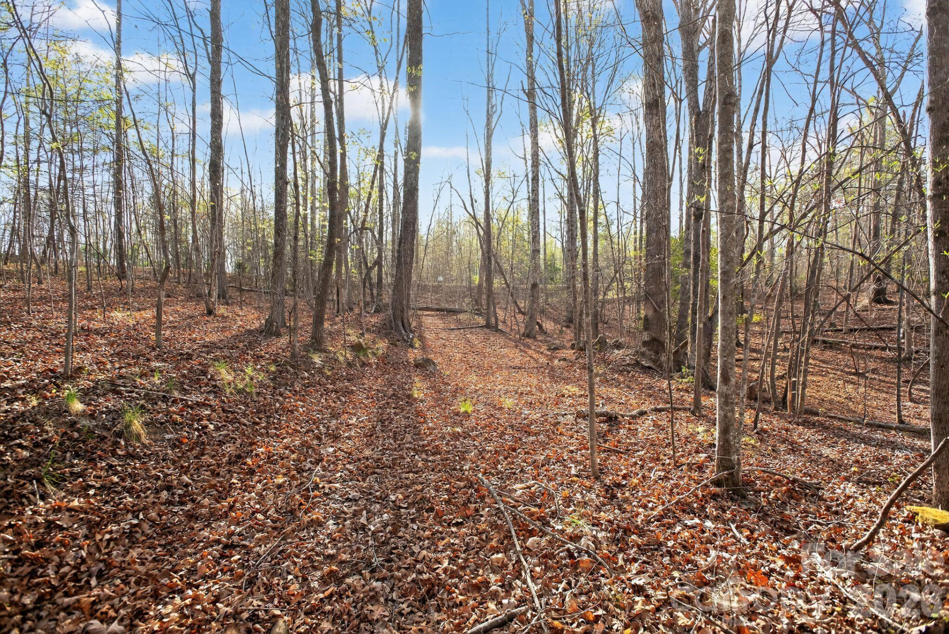 Lot 62 Dirksen Avenue - Photo 27