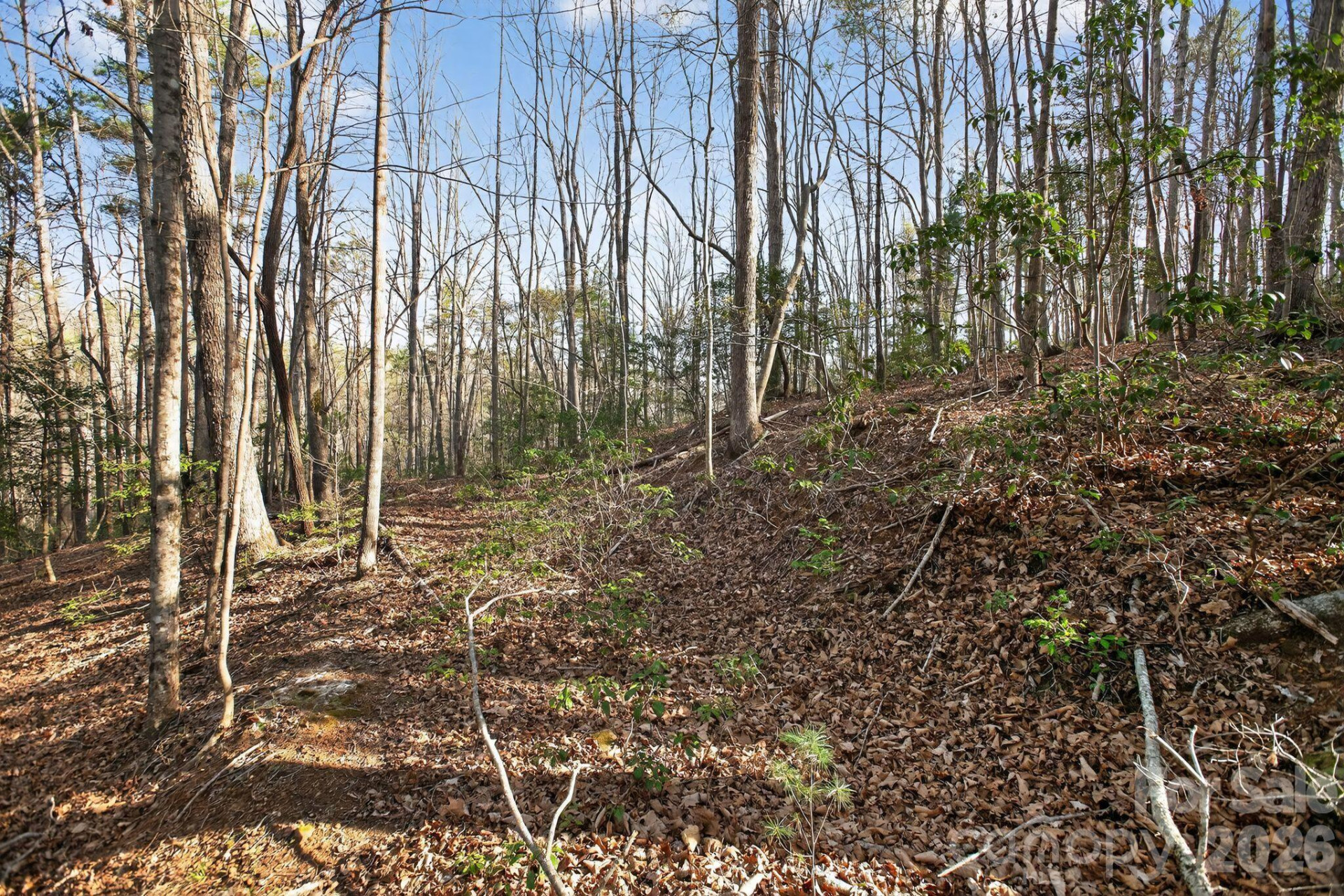 Lot 62 Dirksen Avenue - Photo 28