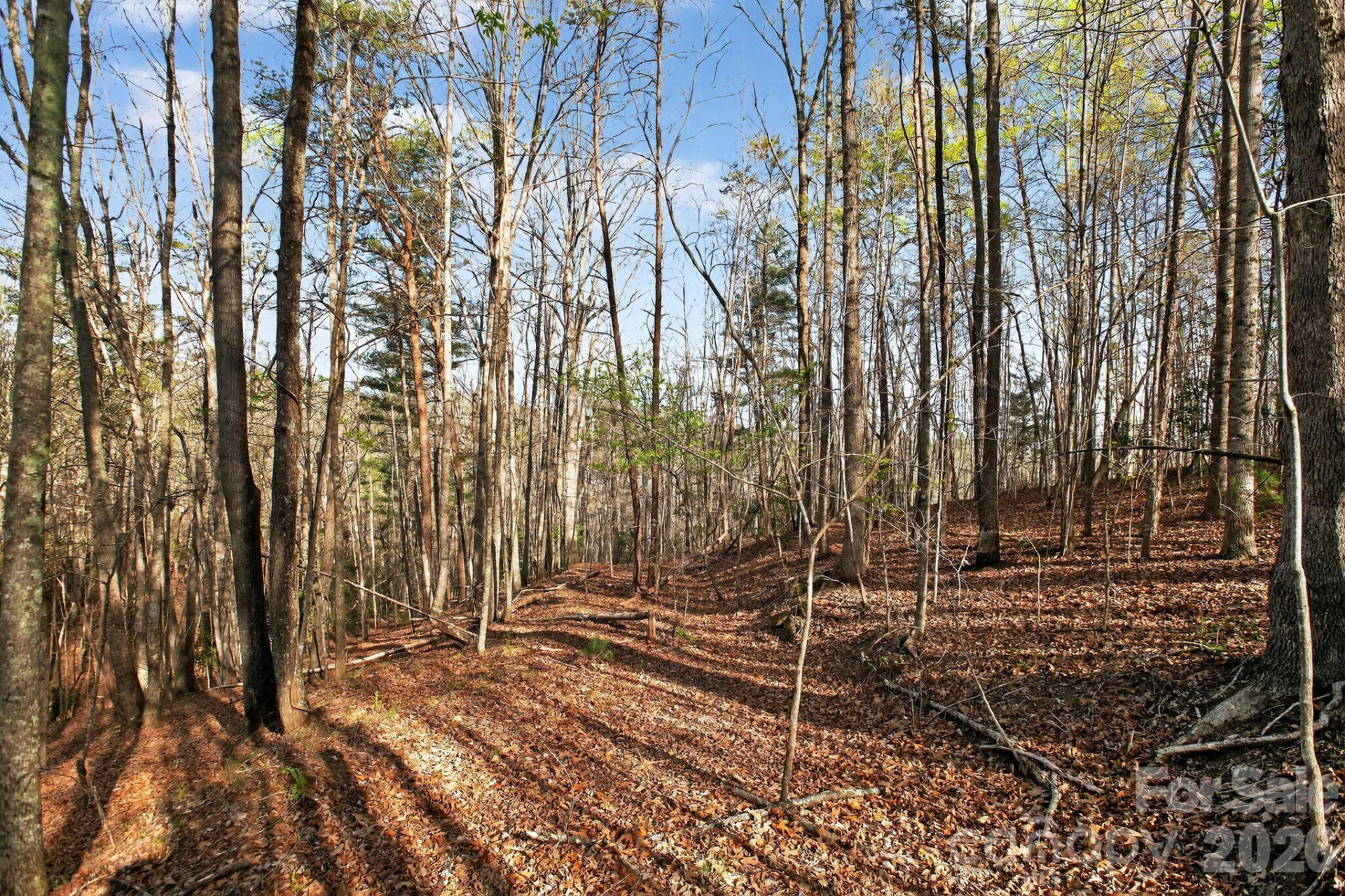 Lot 62 Dirksen Avenue - Photo 29