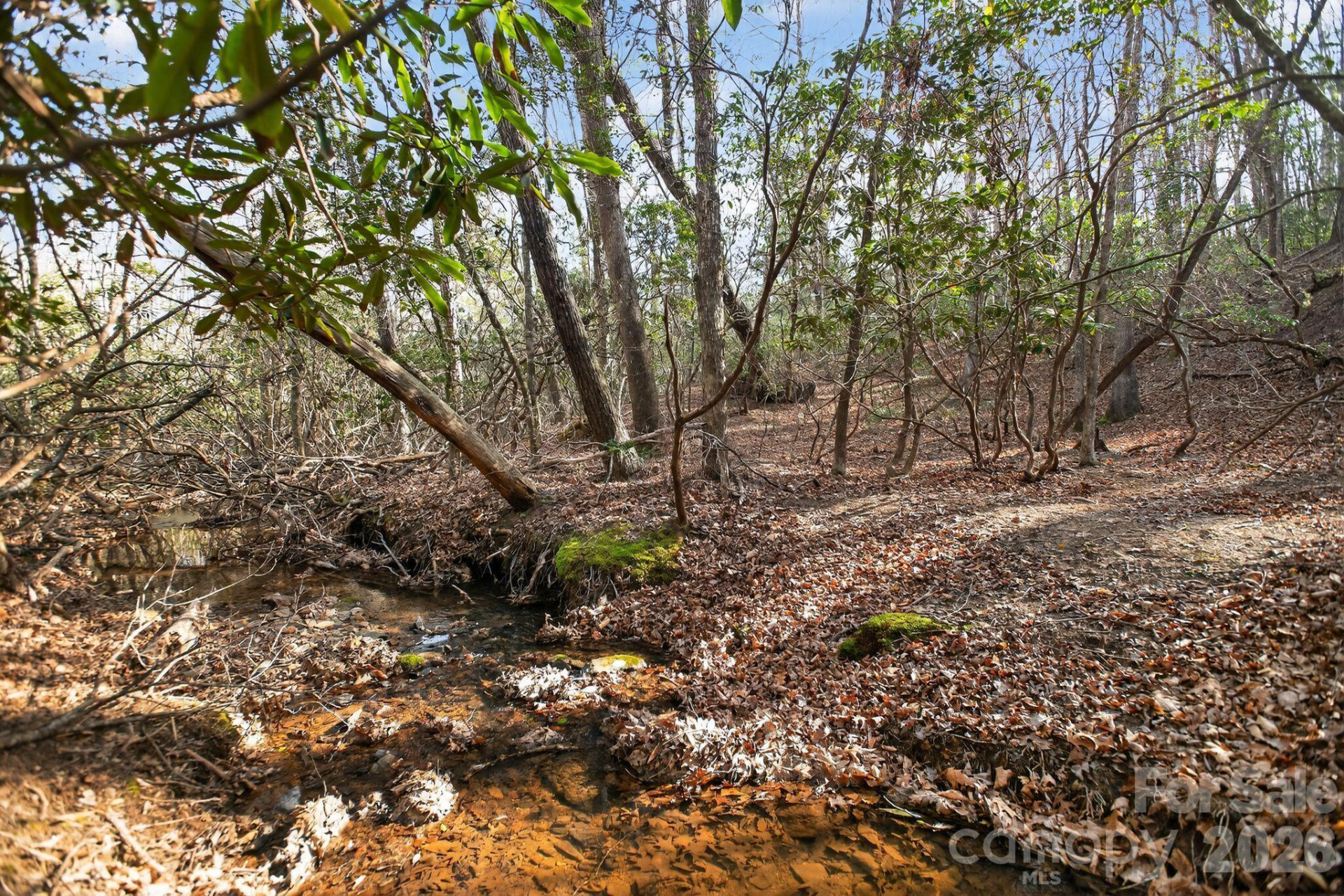 Lot 62 Dirksen Avenue - Photo 30