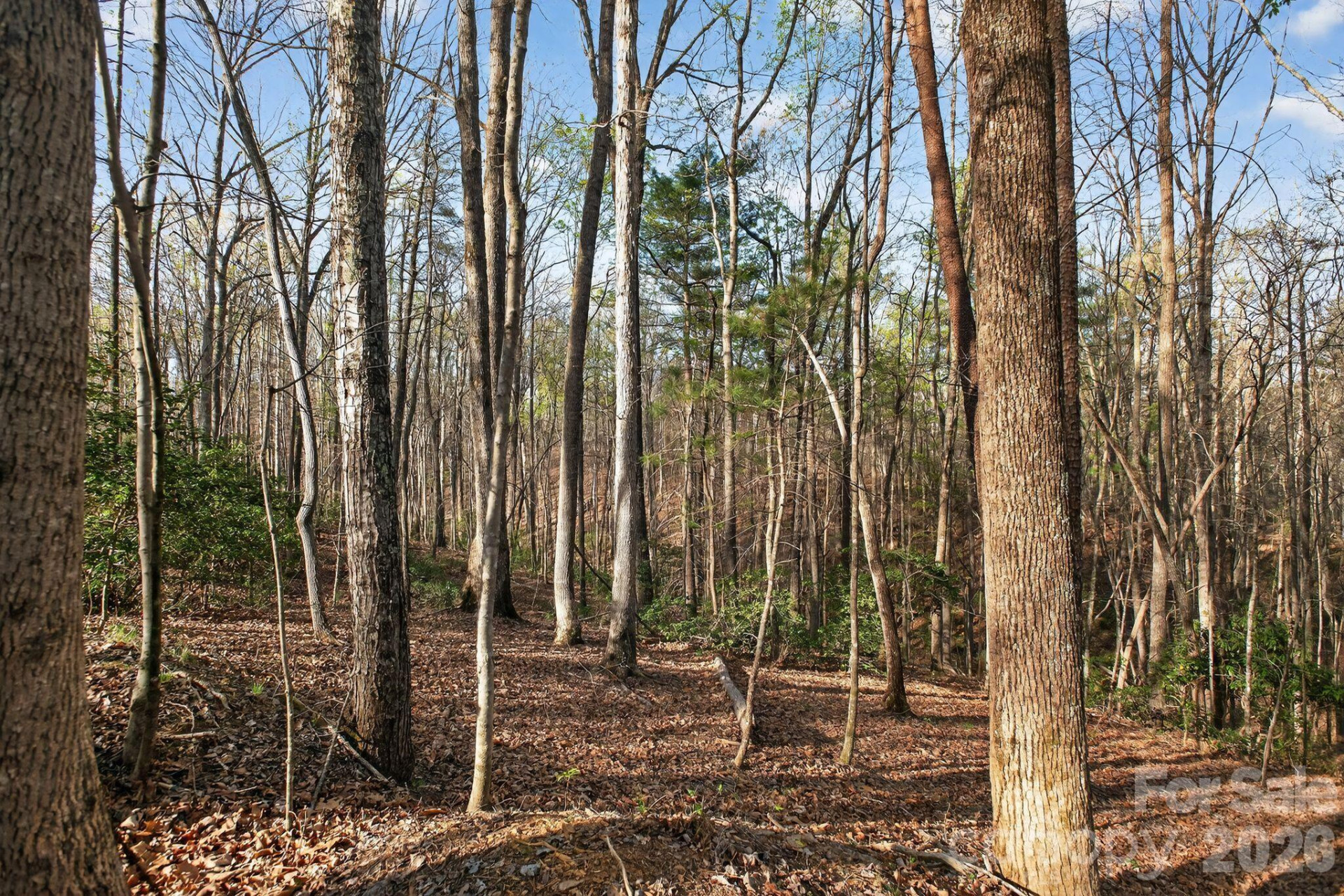 Lot 62 Dirksen Avenue - Photo 4