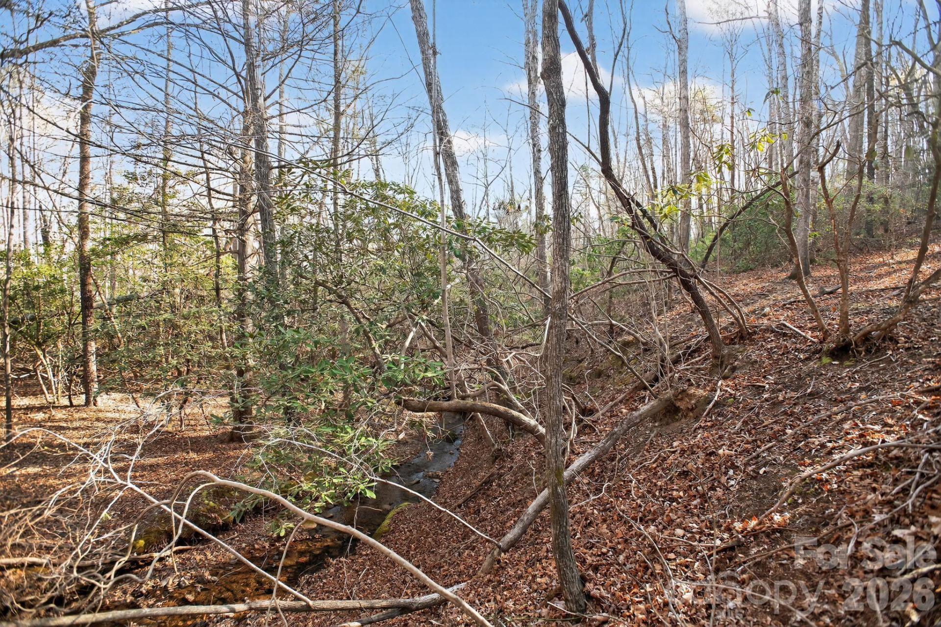 Lot 62 Dirksen Avenue - Photo 31