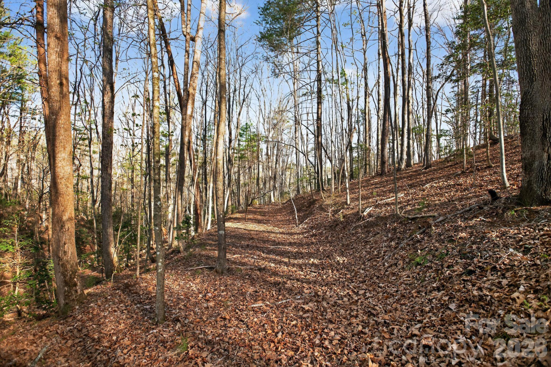 Lot 62 Dirksen Avenue - Photo 32