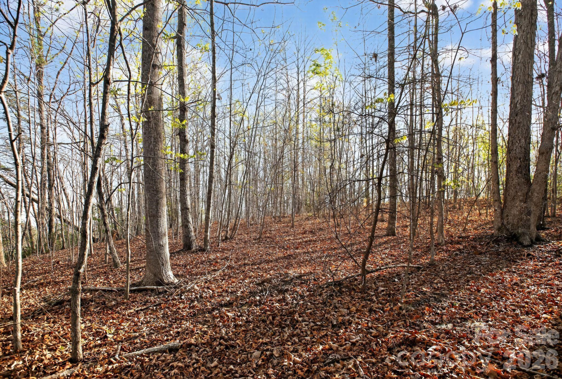 Lot 62 Dirksen Avenue - Photo 33