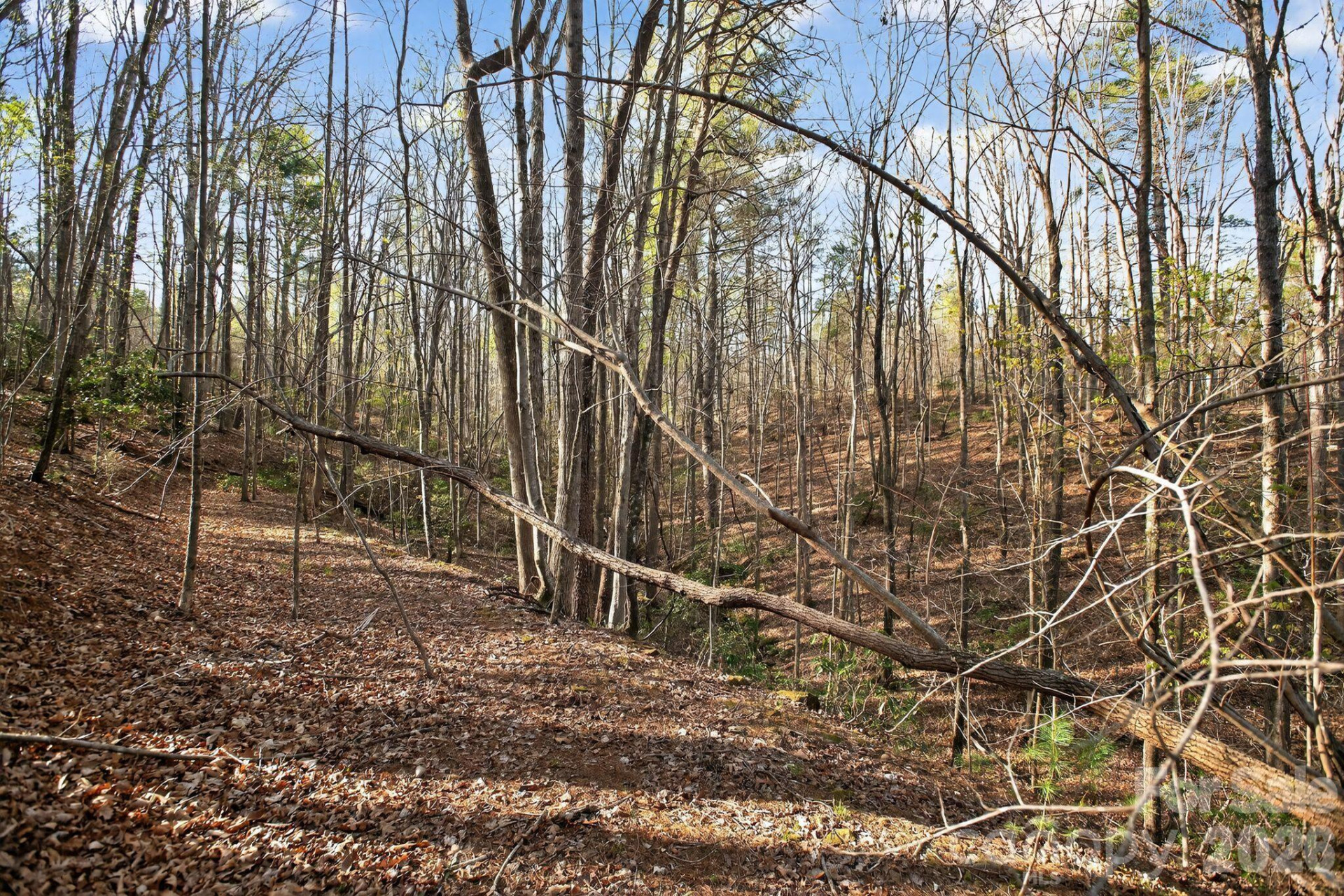 Lot 62 Dirksen Avenue - Photo 34